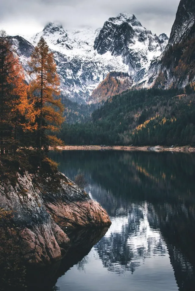 Tyler OnlyFans header