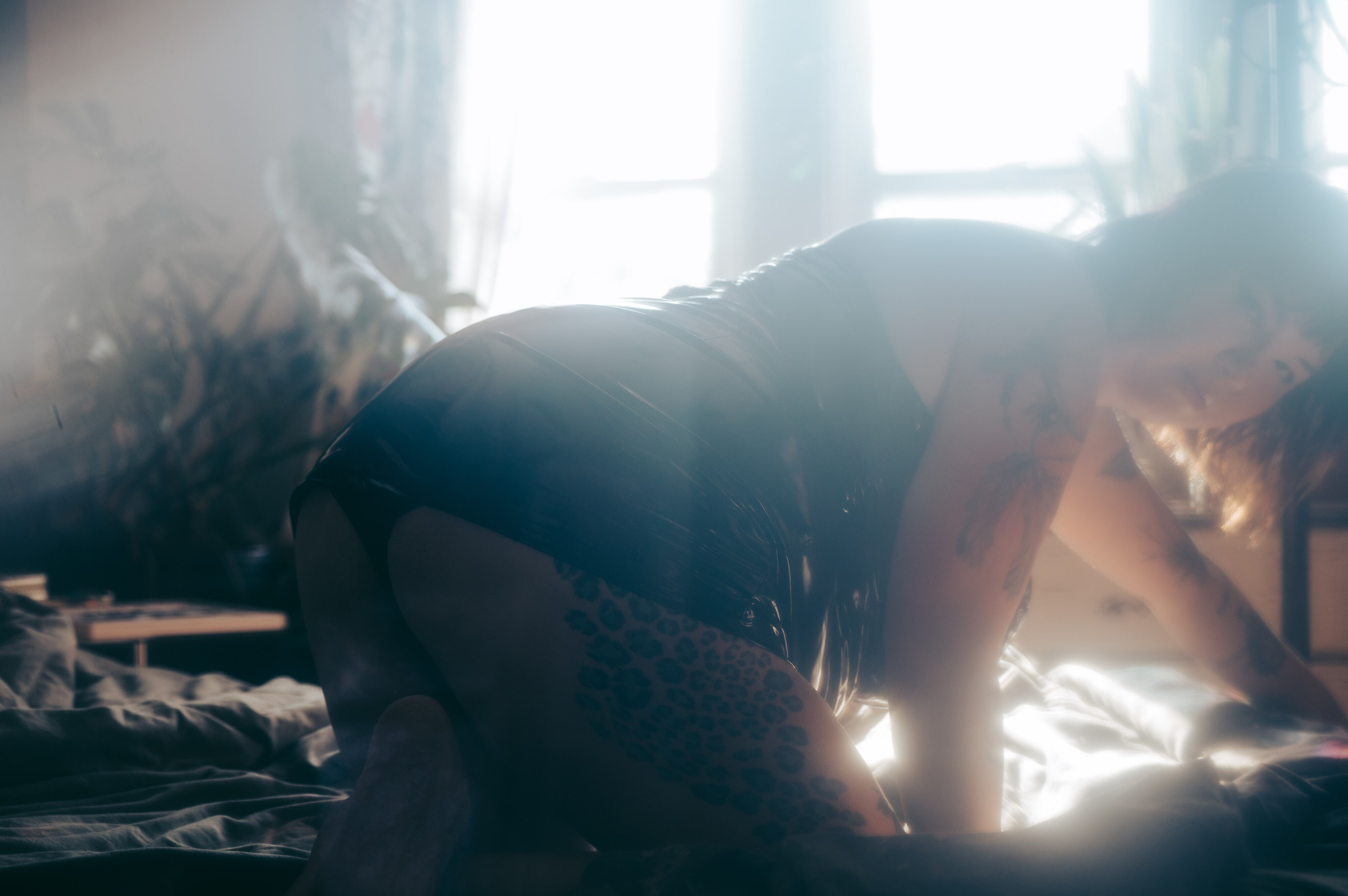 ohhhh stellaaaa OnlyFans header