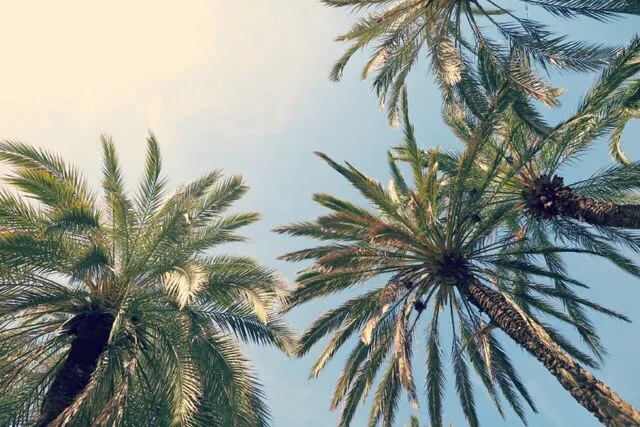 Tootiee🥵 OnlyFans header