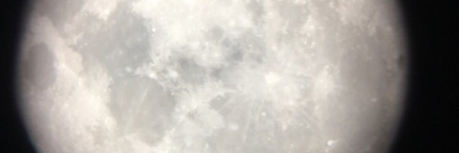 Phoenix OnlyFans header