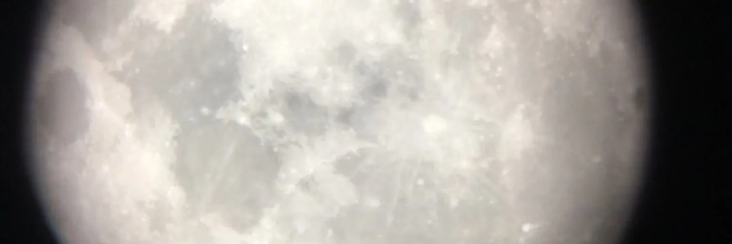 Phoenix OnlyFans header