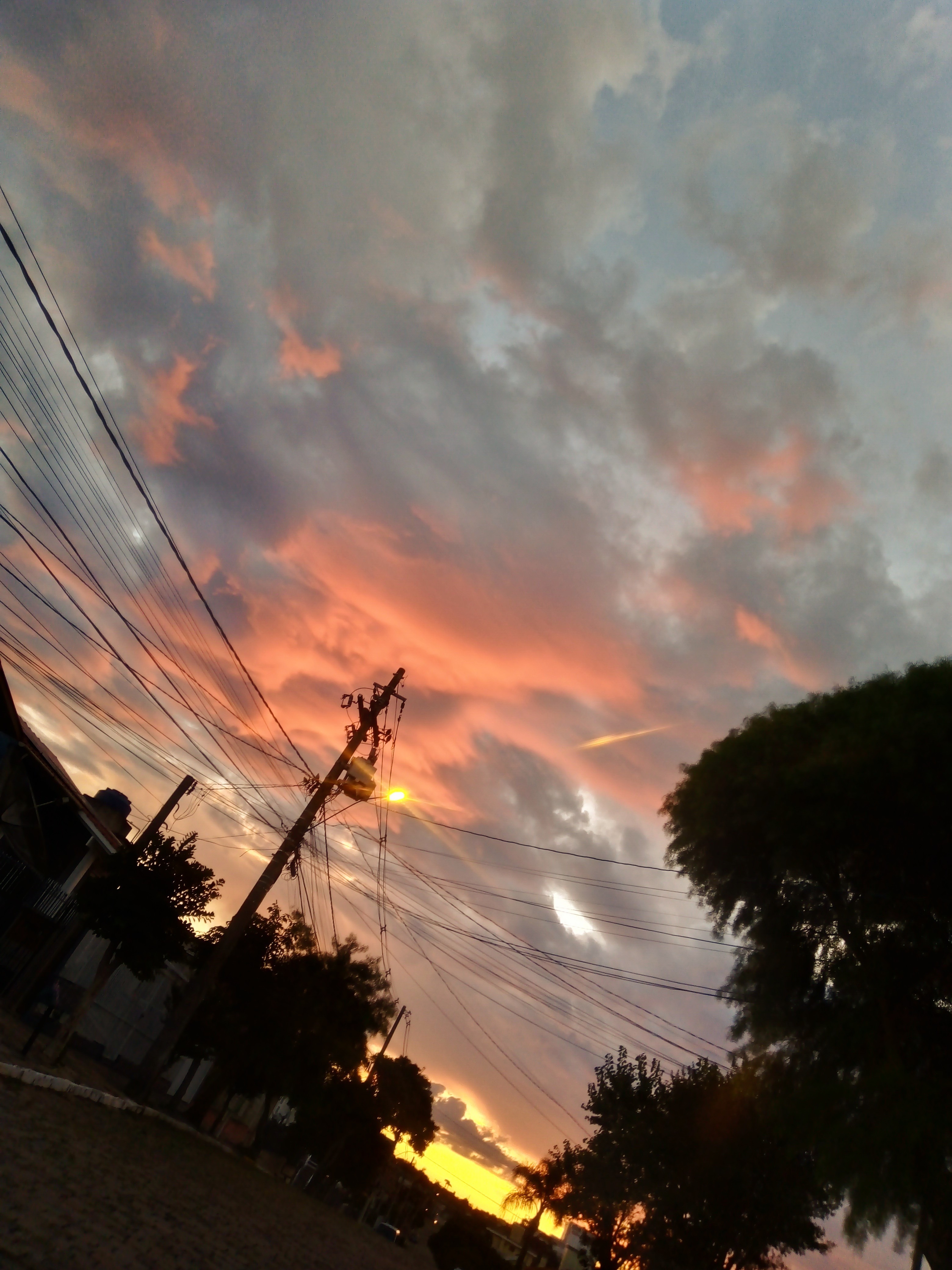 Alice OnlyFans header