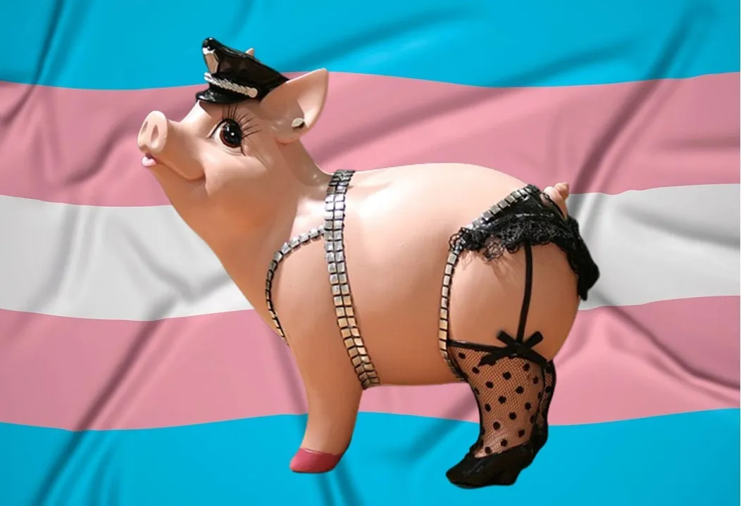 Cerdita Cachonda Oink Hot 🐽🔥🐽🔥🐽 OnlyFans header