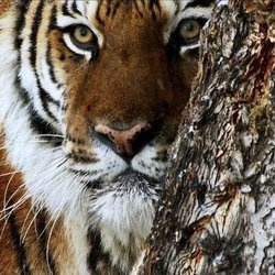 david tejo burgos OnlyFans