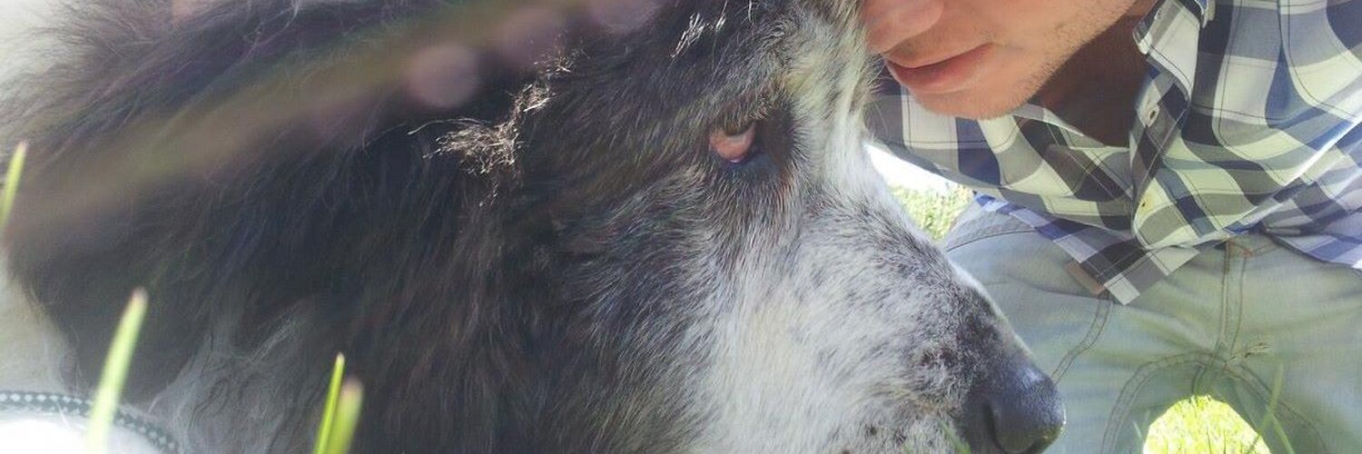 david tejo burgos OnlyFans header