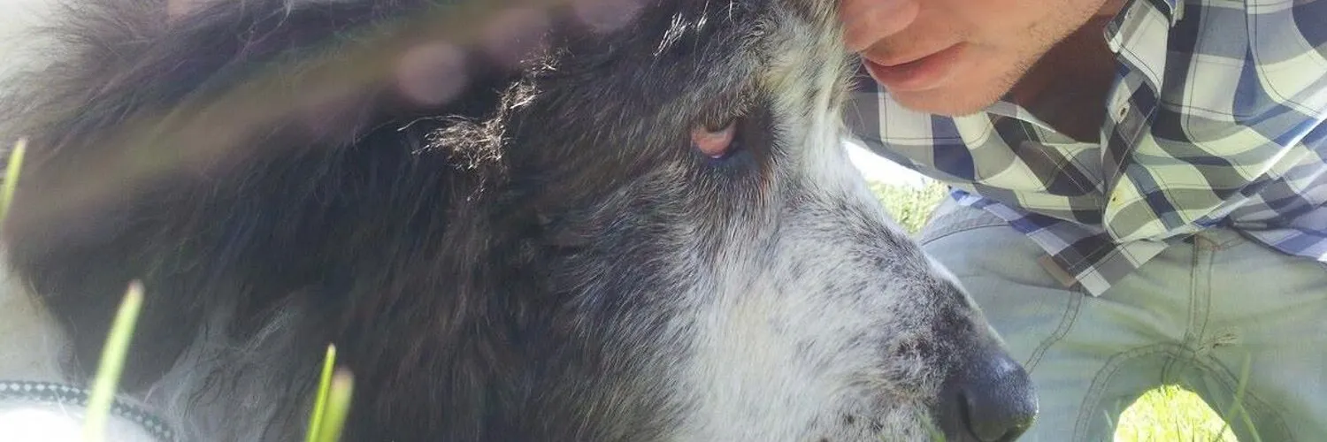 david tejo burgos OnlyFans header