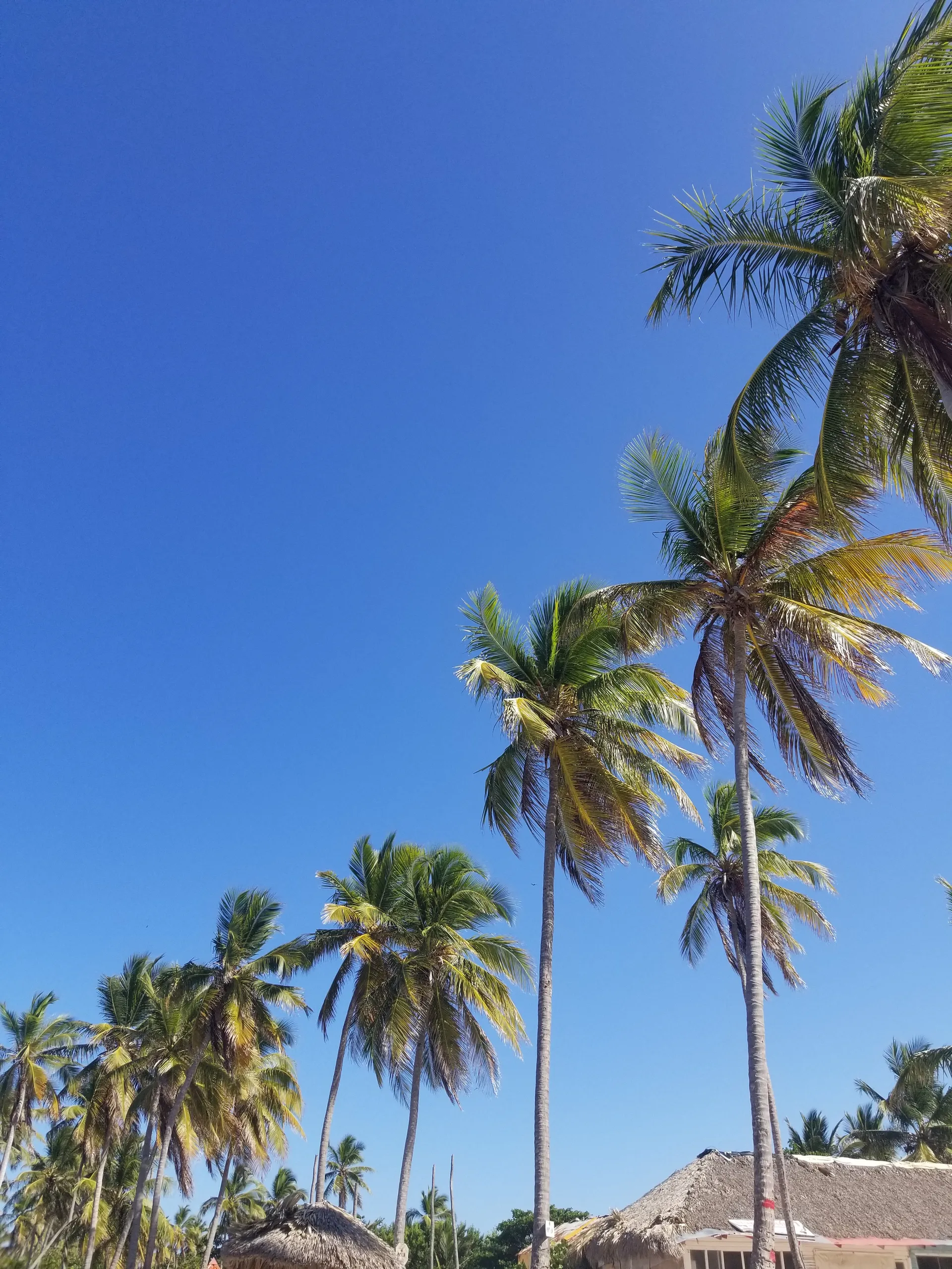 Esthe OnlyFans header