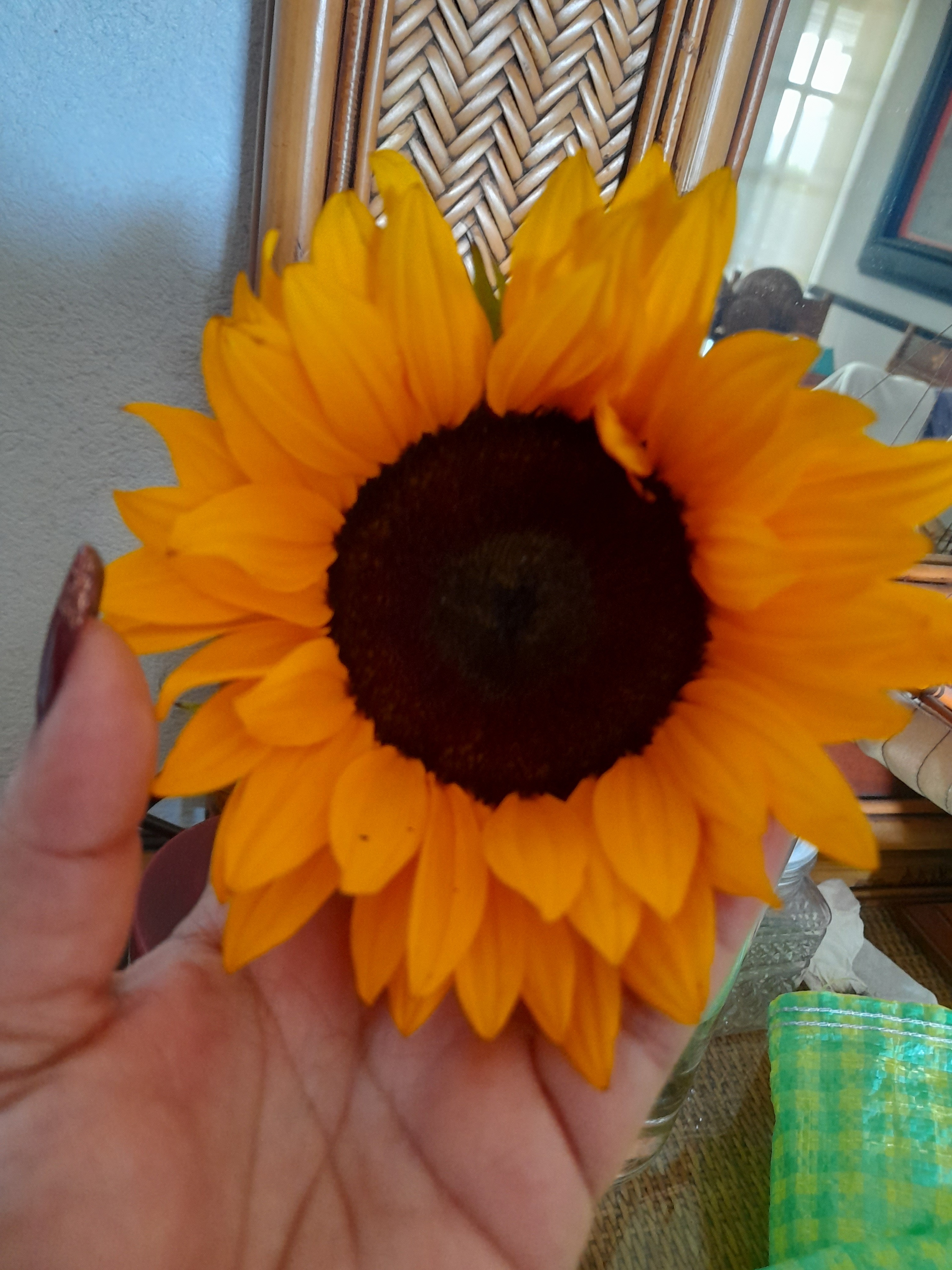 💞Ojitos❣️ OnlyFans