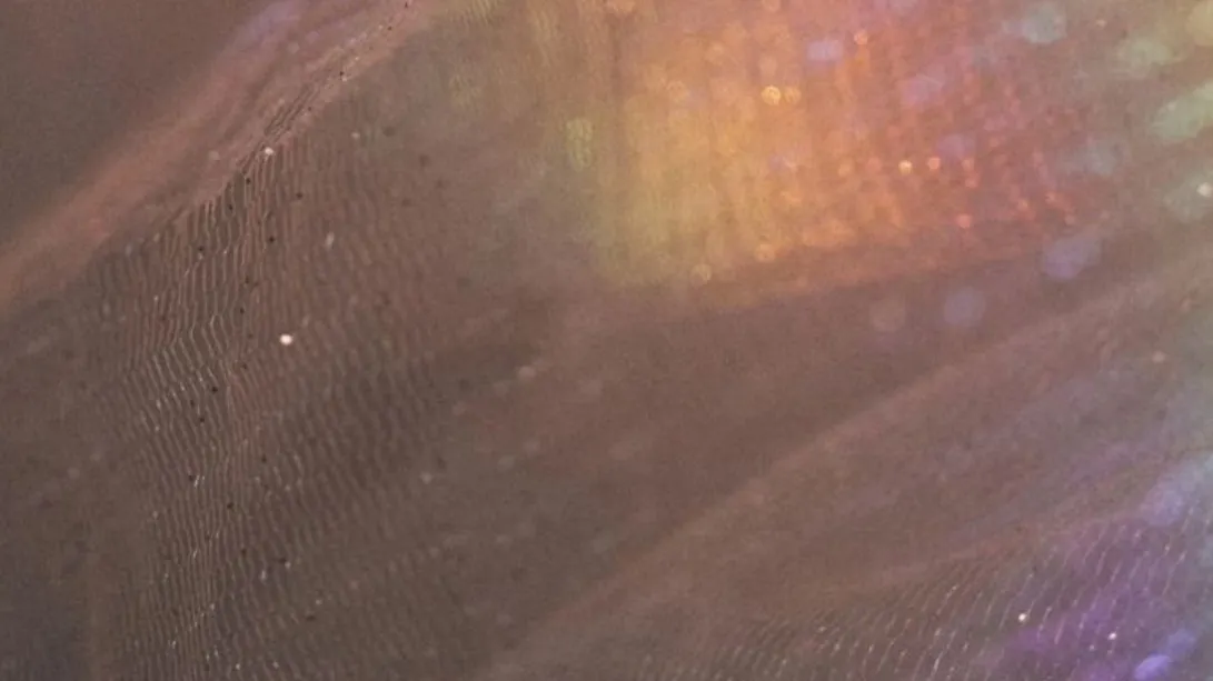 Vittoria OnlyFans header