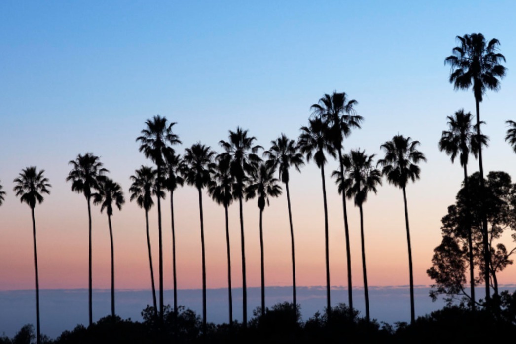 Steph OnlyFans header