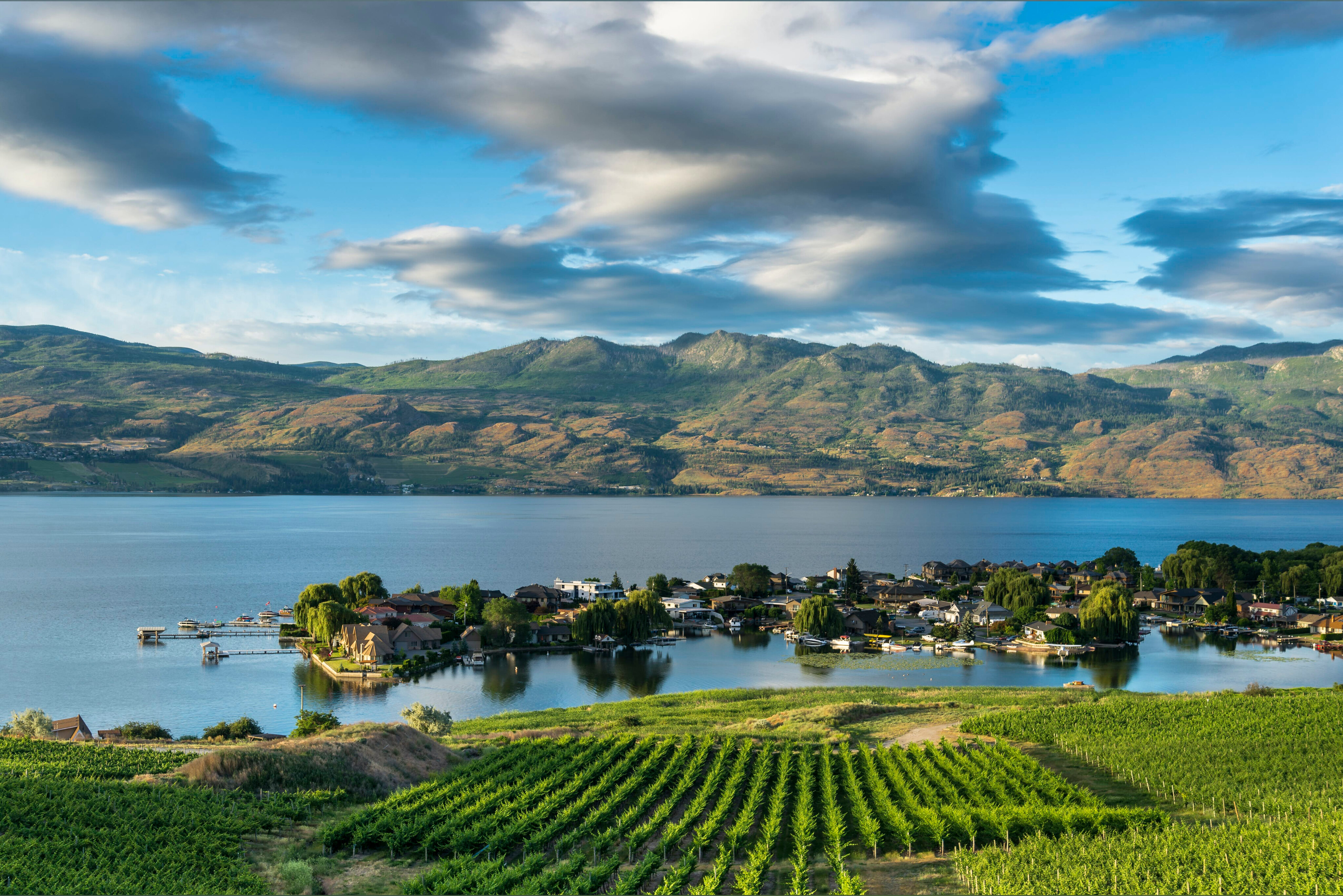 Okanagan Babes OnlyFans header