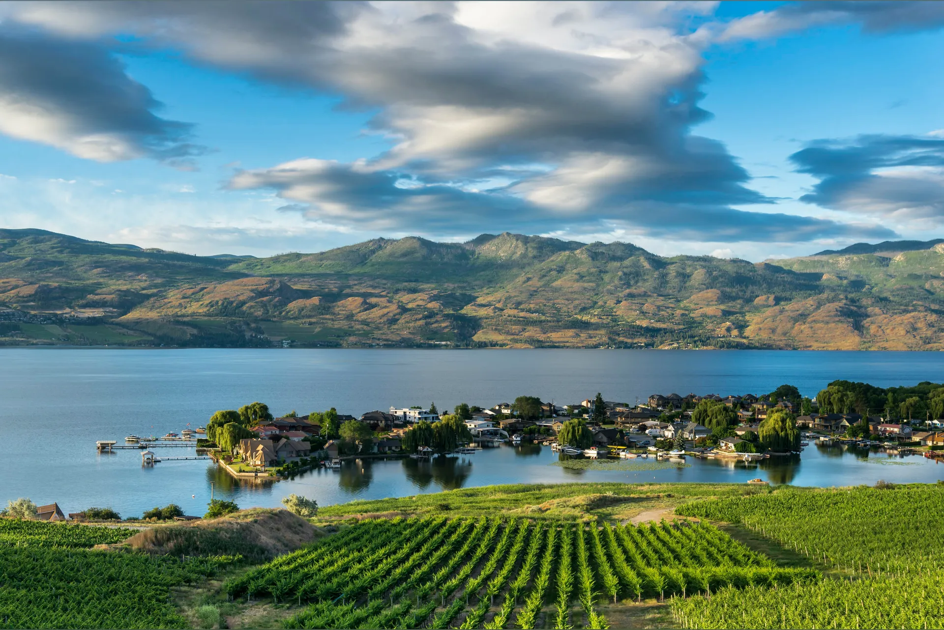 Okanagan Babes OnlyFans header