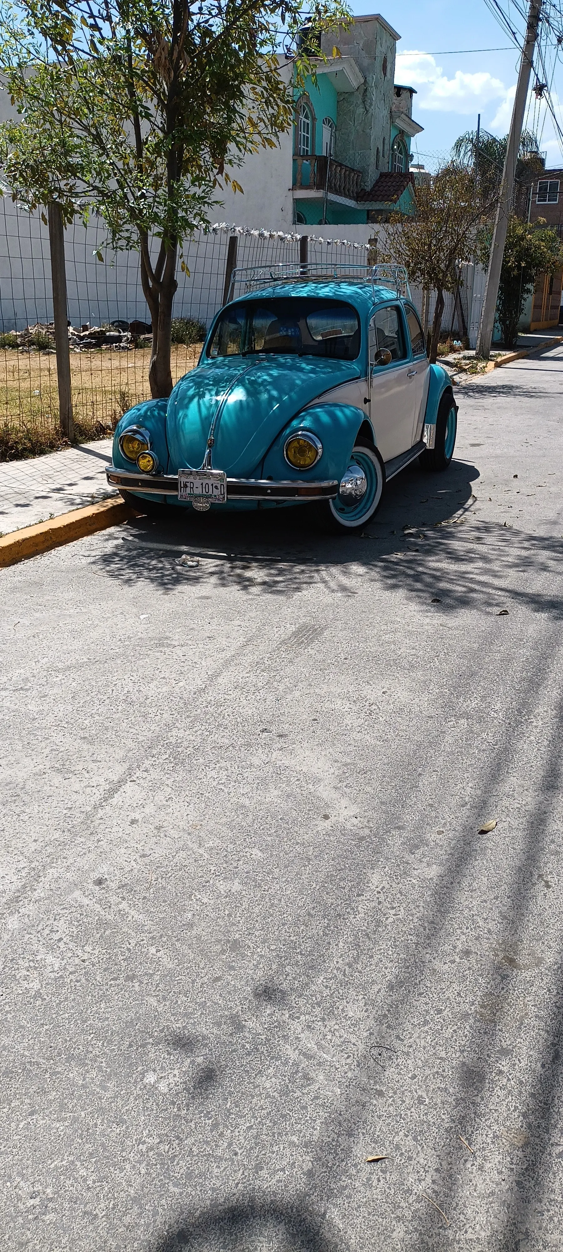 Okavango OnlyFans header