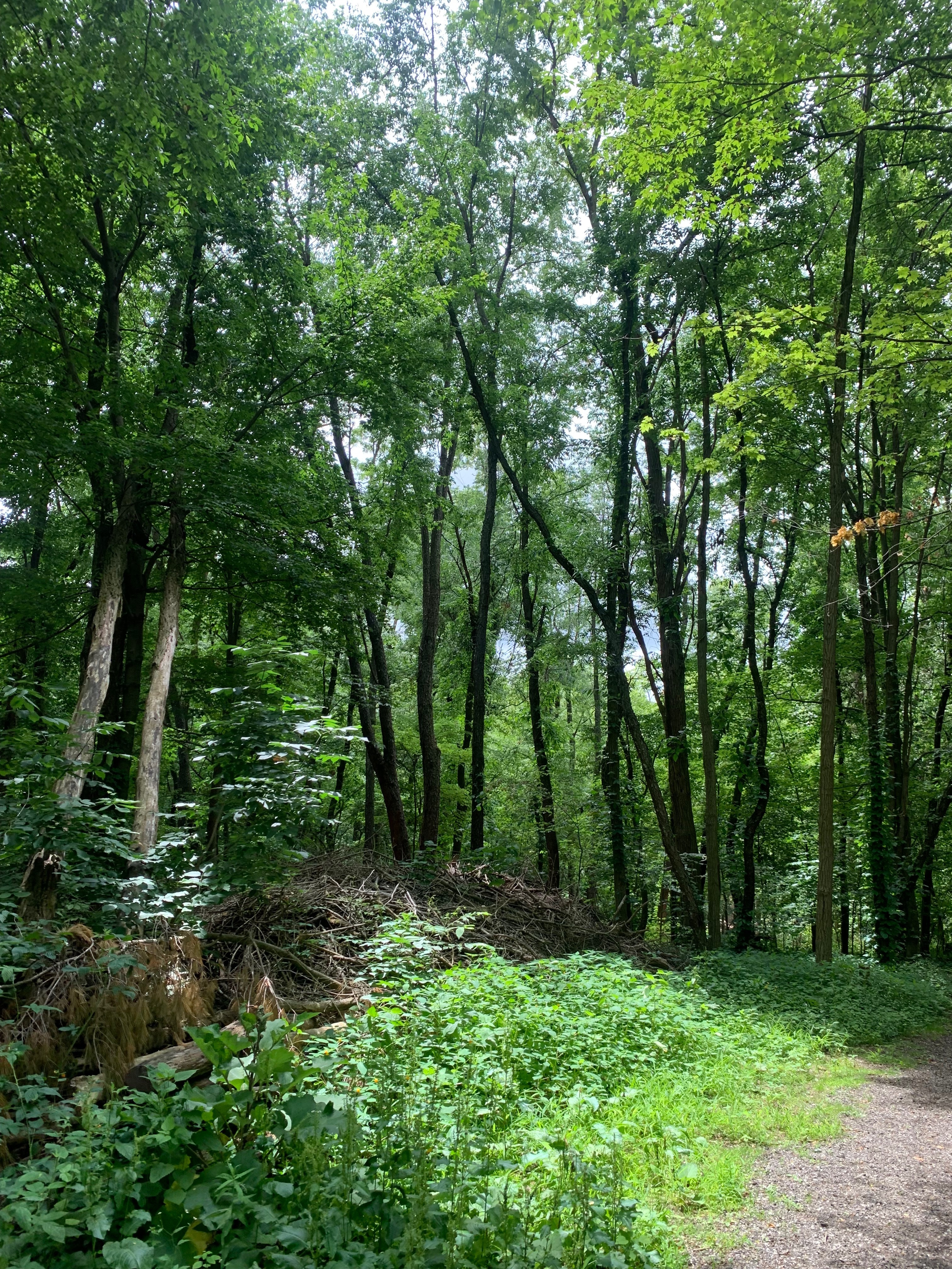 Kaylee OnlyFans header