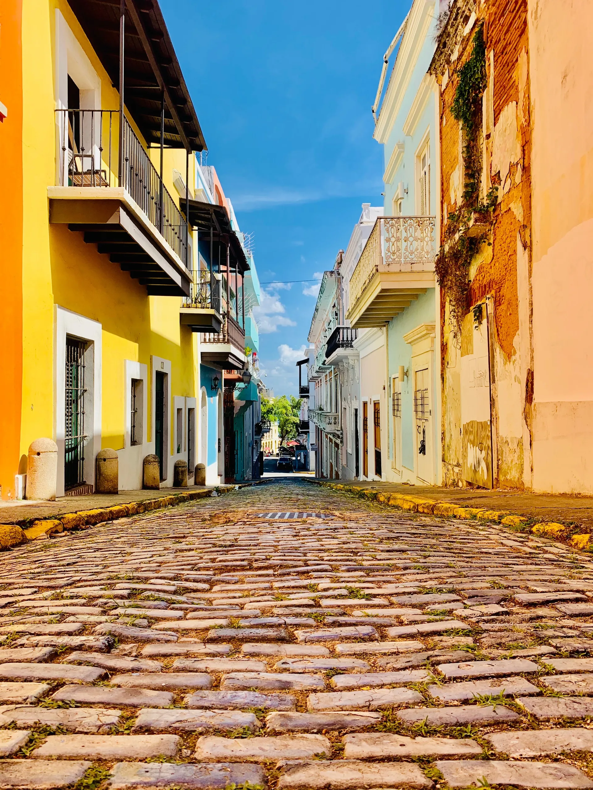 OkayTwunk OnlyFans header