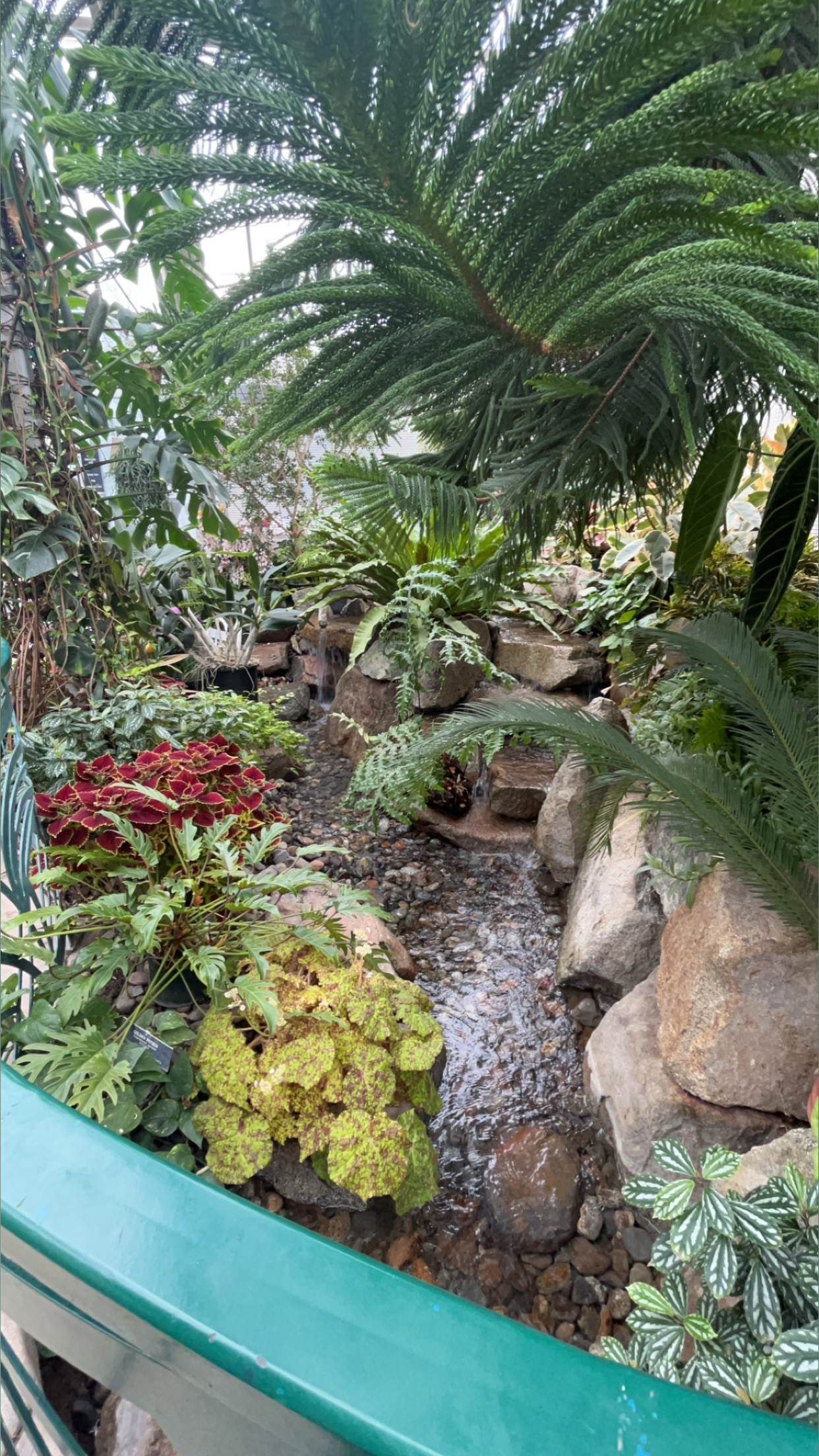 ⚡️MeL🌙 OnlyFans header