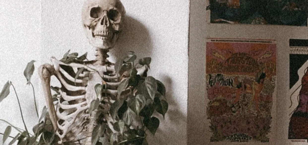 Indie OnlyFans header