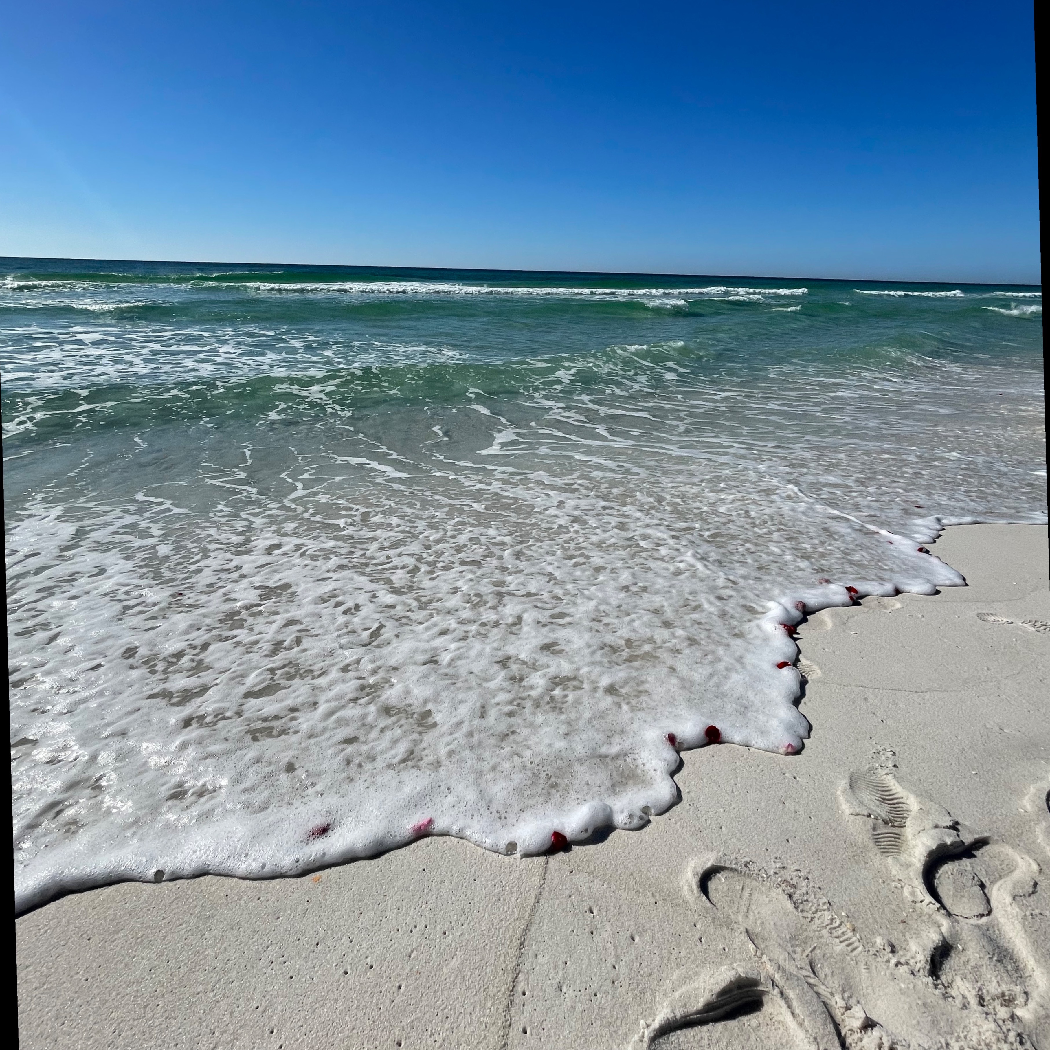 Jess OnlyFans header