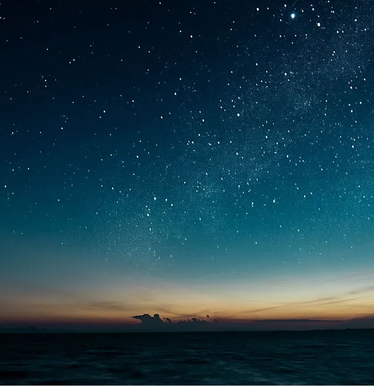 Sonia OnlyFans header