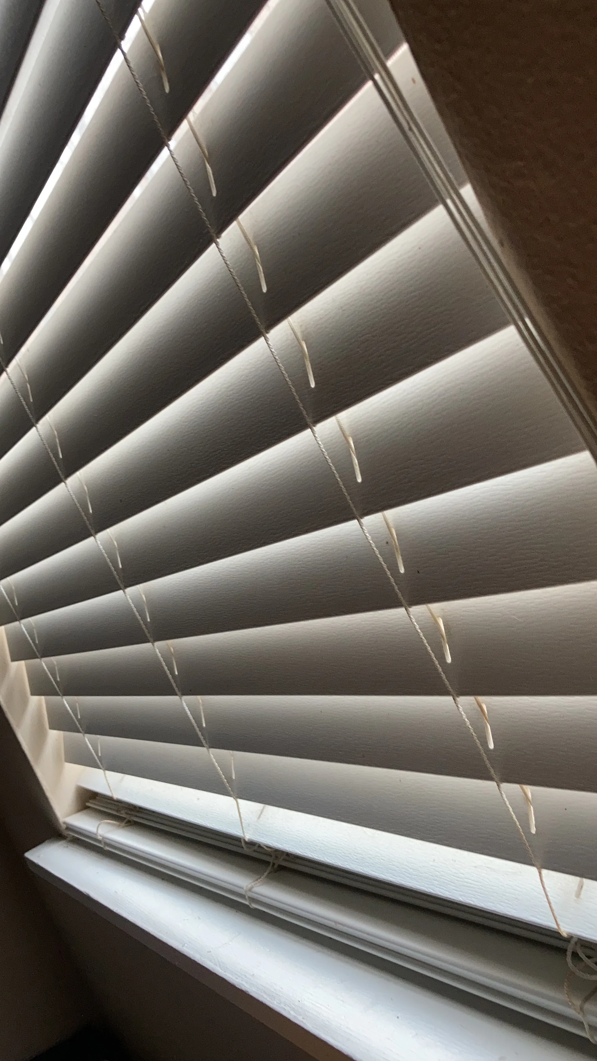 SSBBW Sugar OnlyFans header