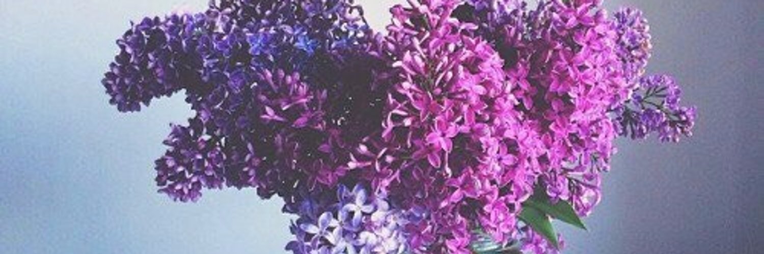 Ksusha OnlyFans header