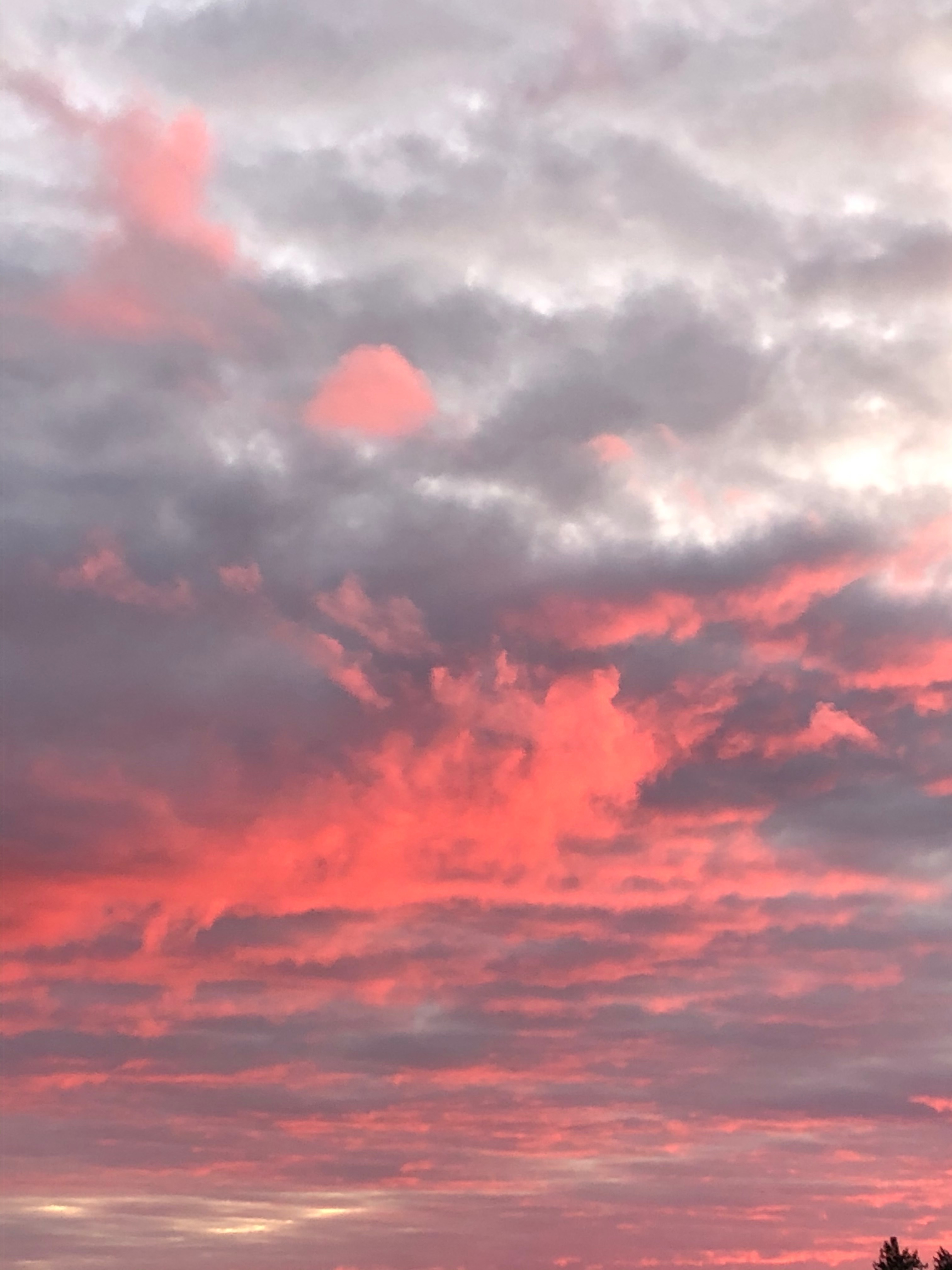 Oktaviaa OnlyFans header