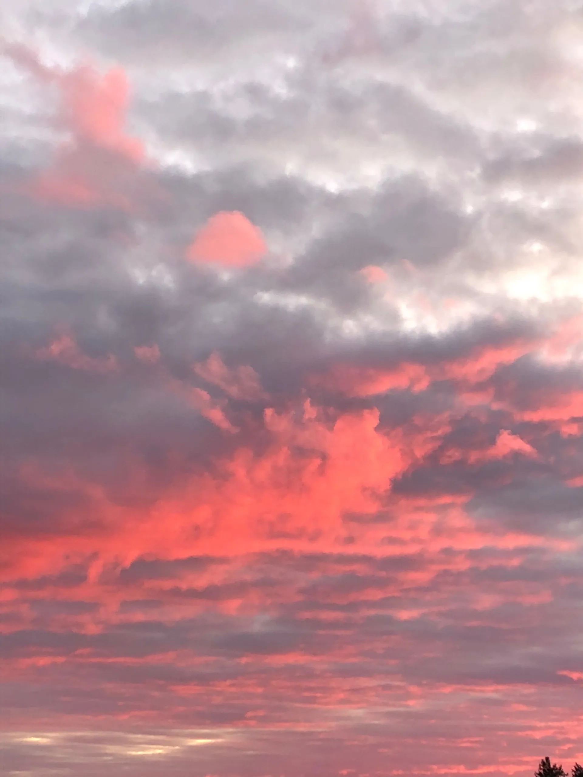 Oktaviaa OnlyFans header