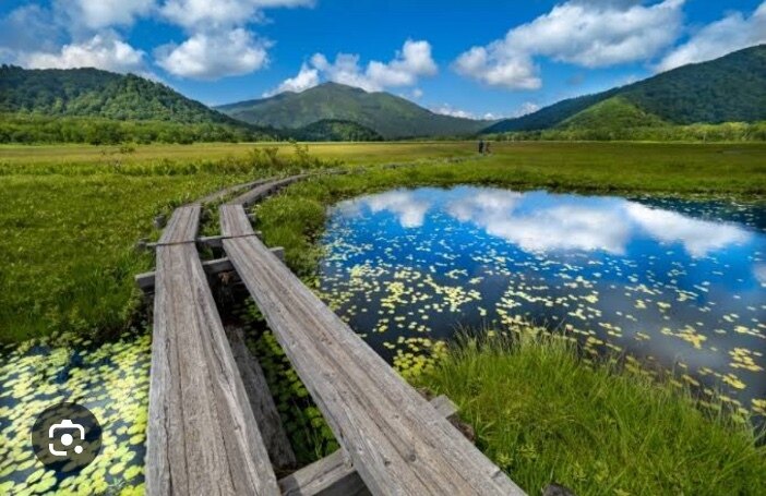 奥の手マッサージ OnlyFans header