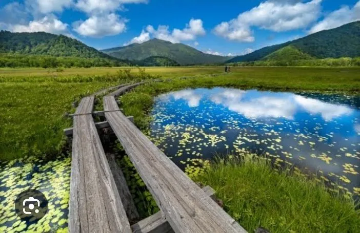 奥の手マッサージ OnlyFans header