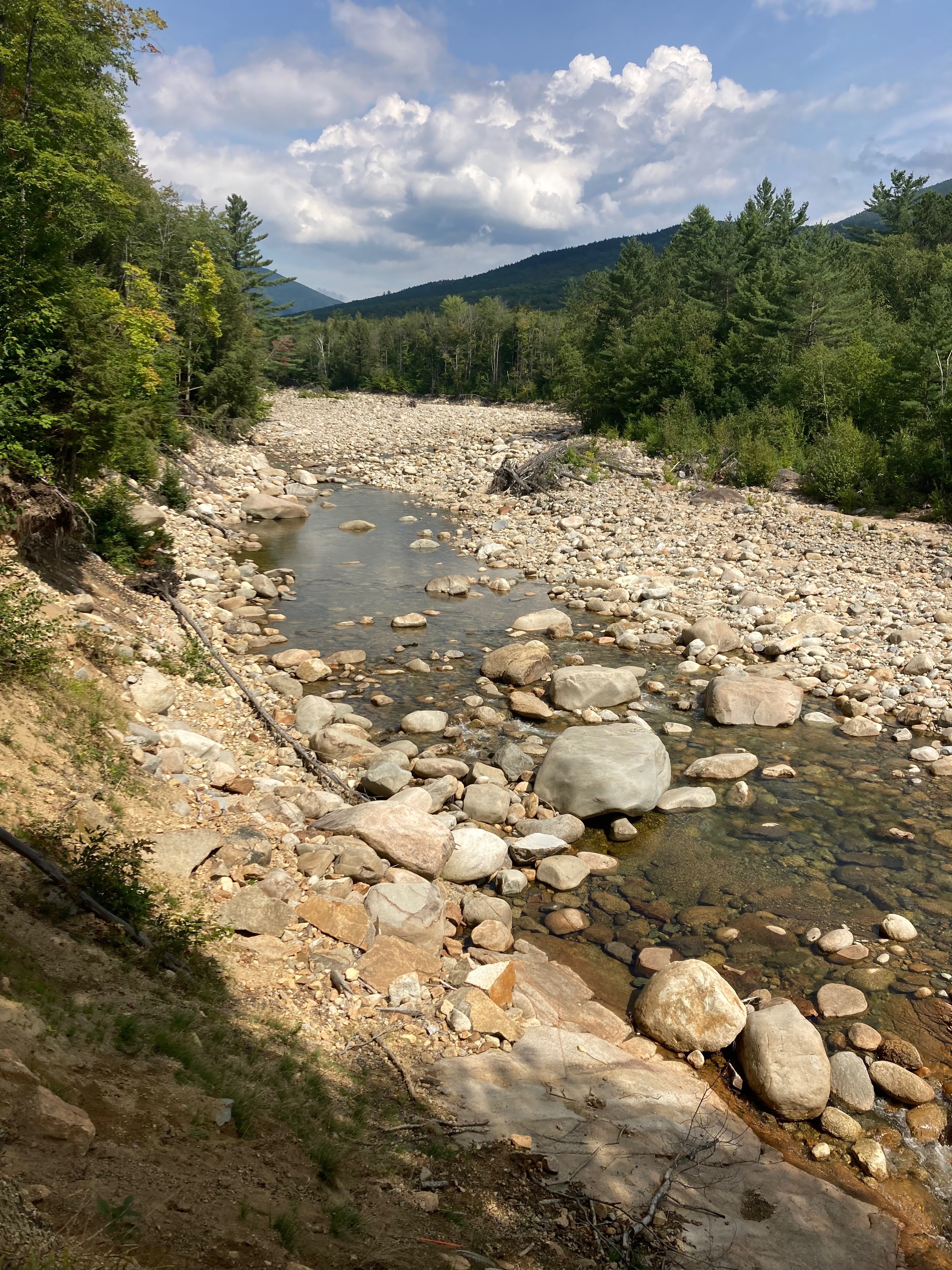 SeaKing Olaf OnlyFans header