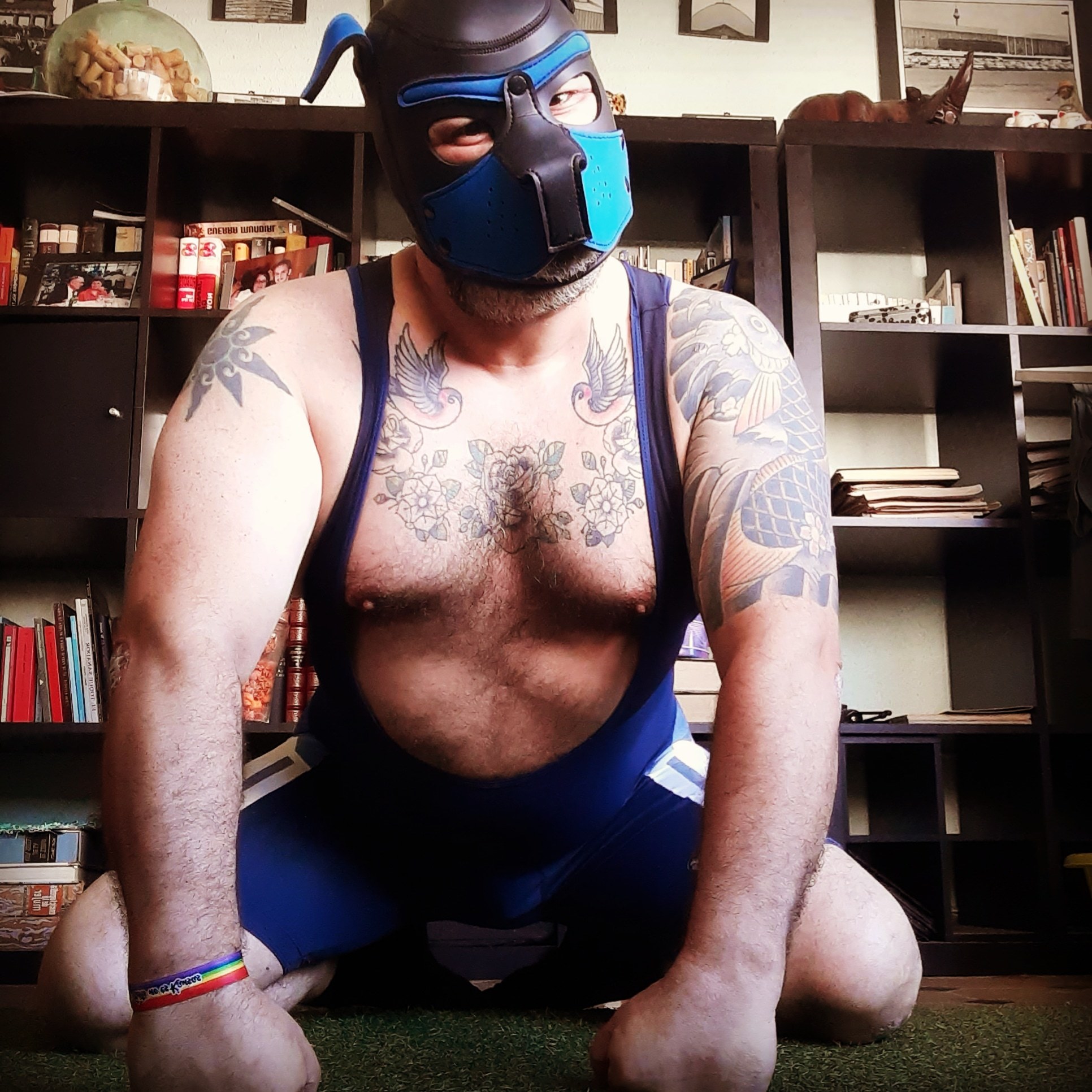 Wingedmonkey OnlyFans header