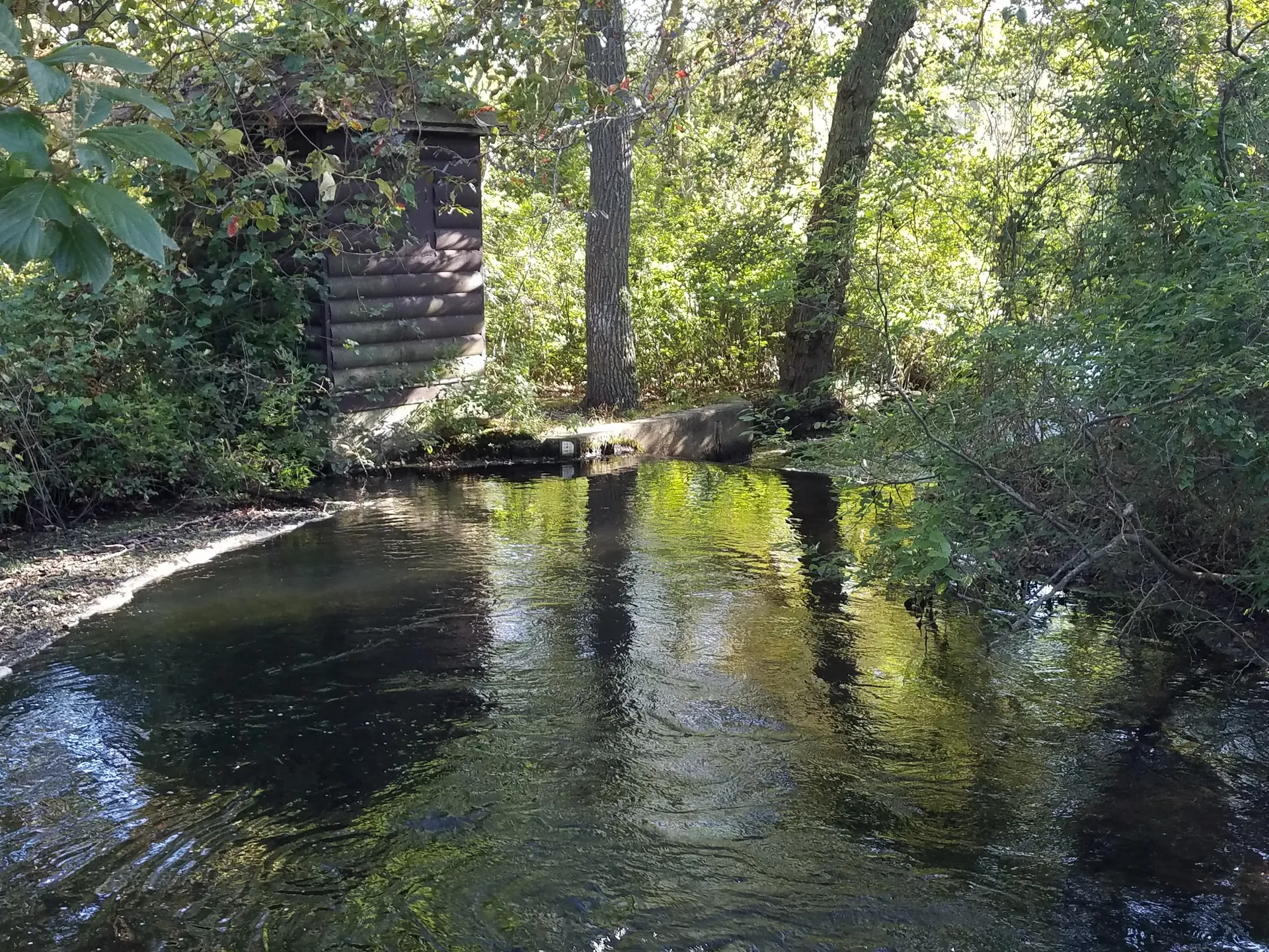 Hunk of ages OnlyFans header