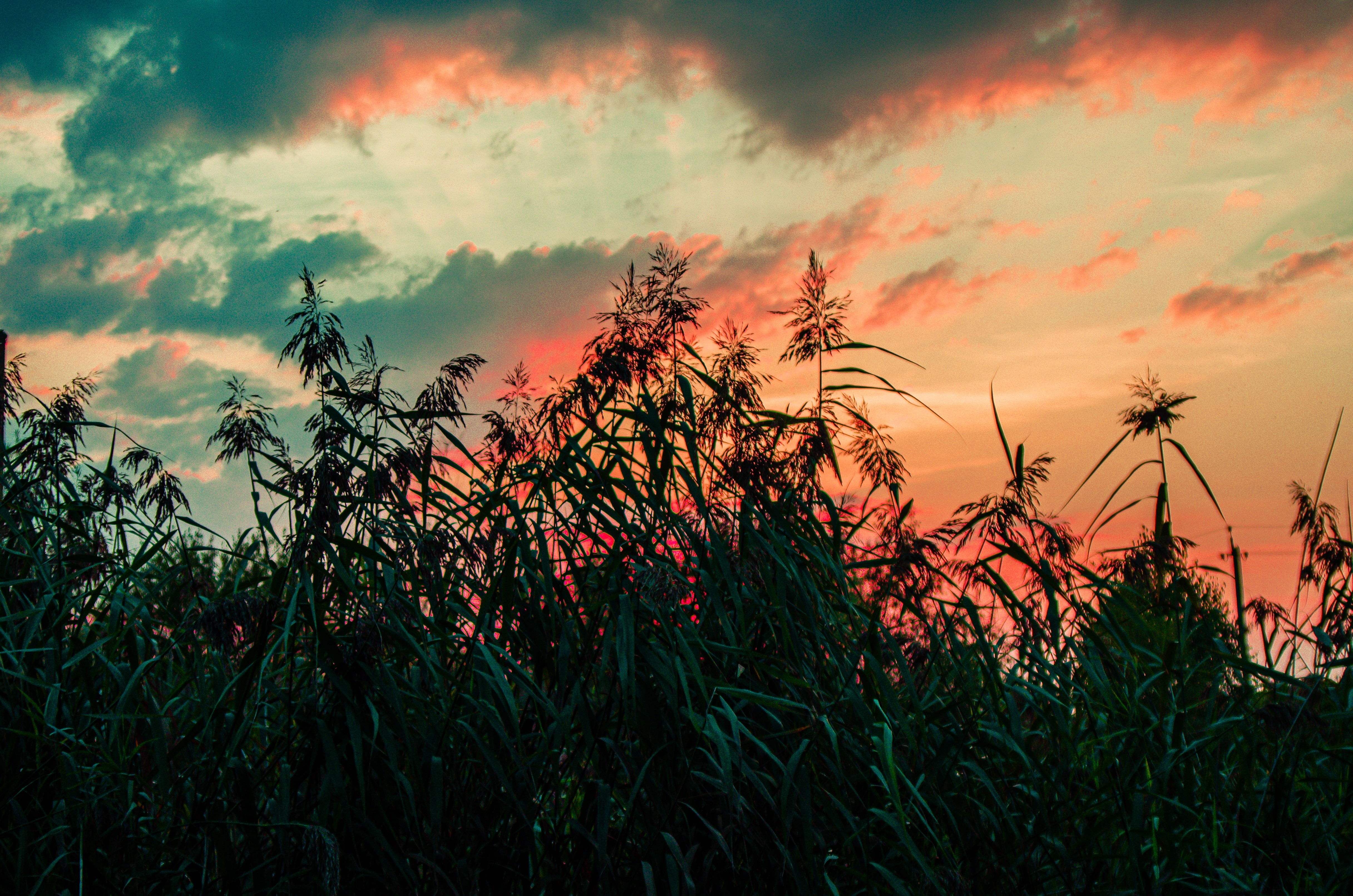 Oleg_Andrienko OnlyFans header