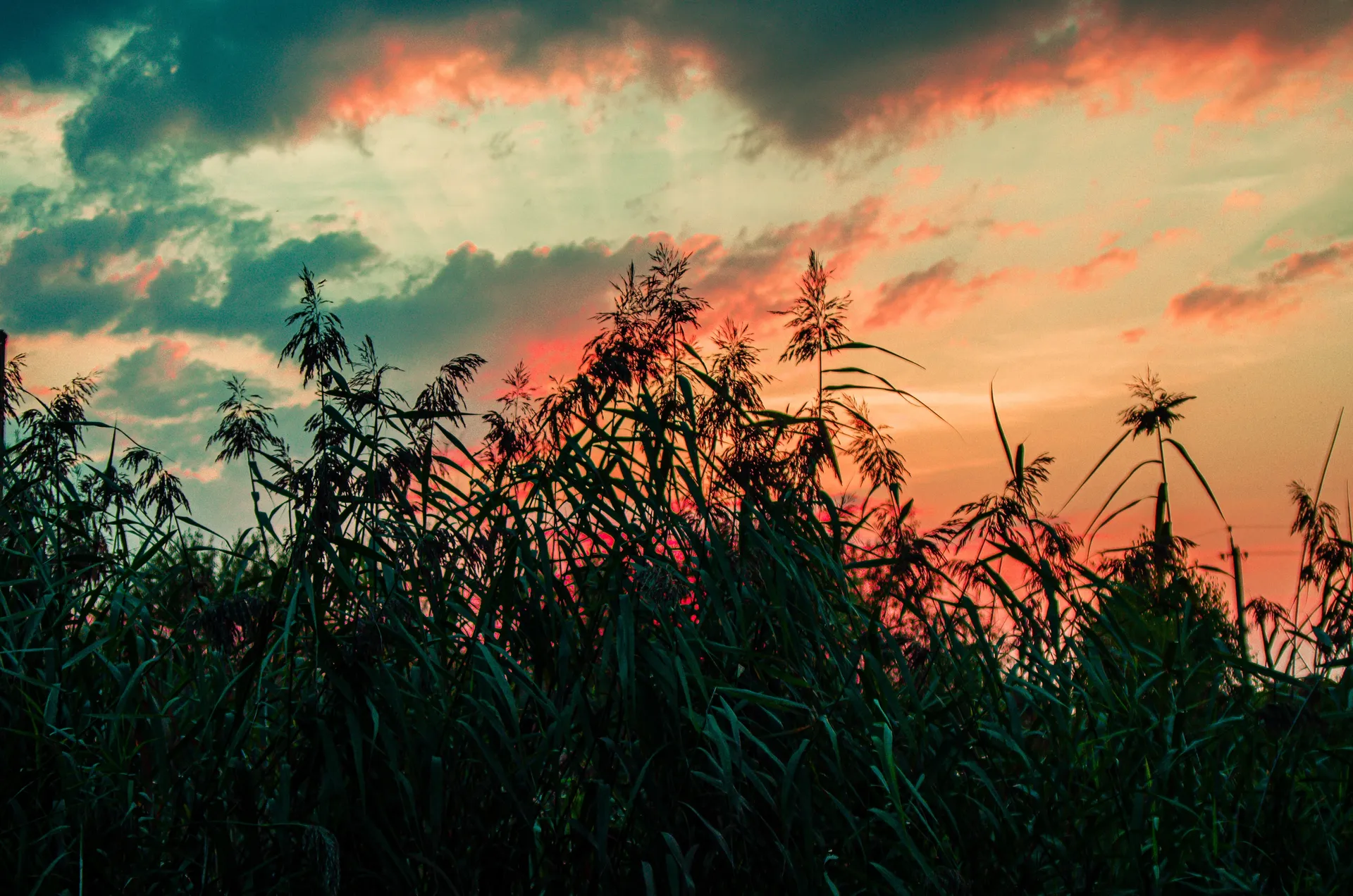 Oleg_Andrienko OnlyFans header