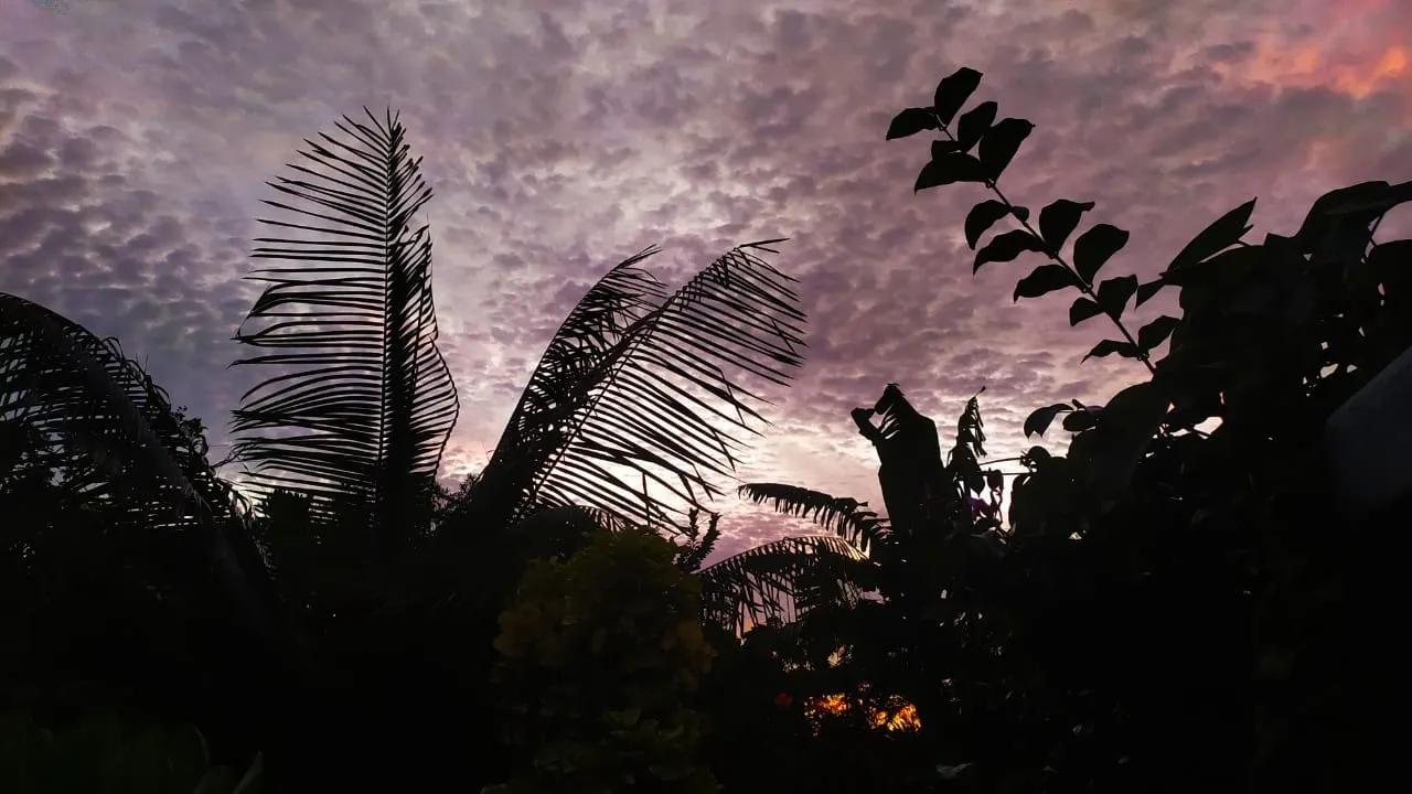 Olga Gurova OnlyFans header