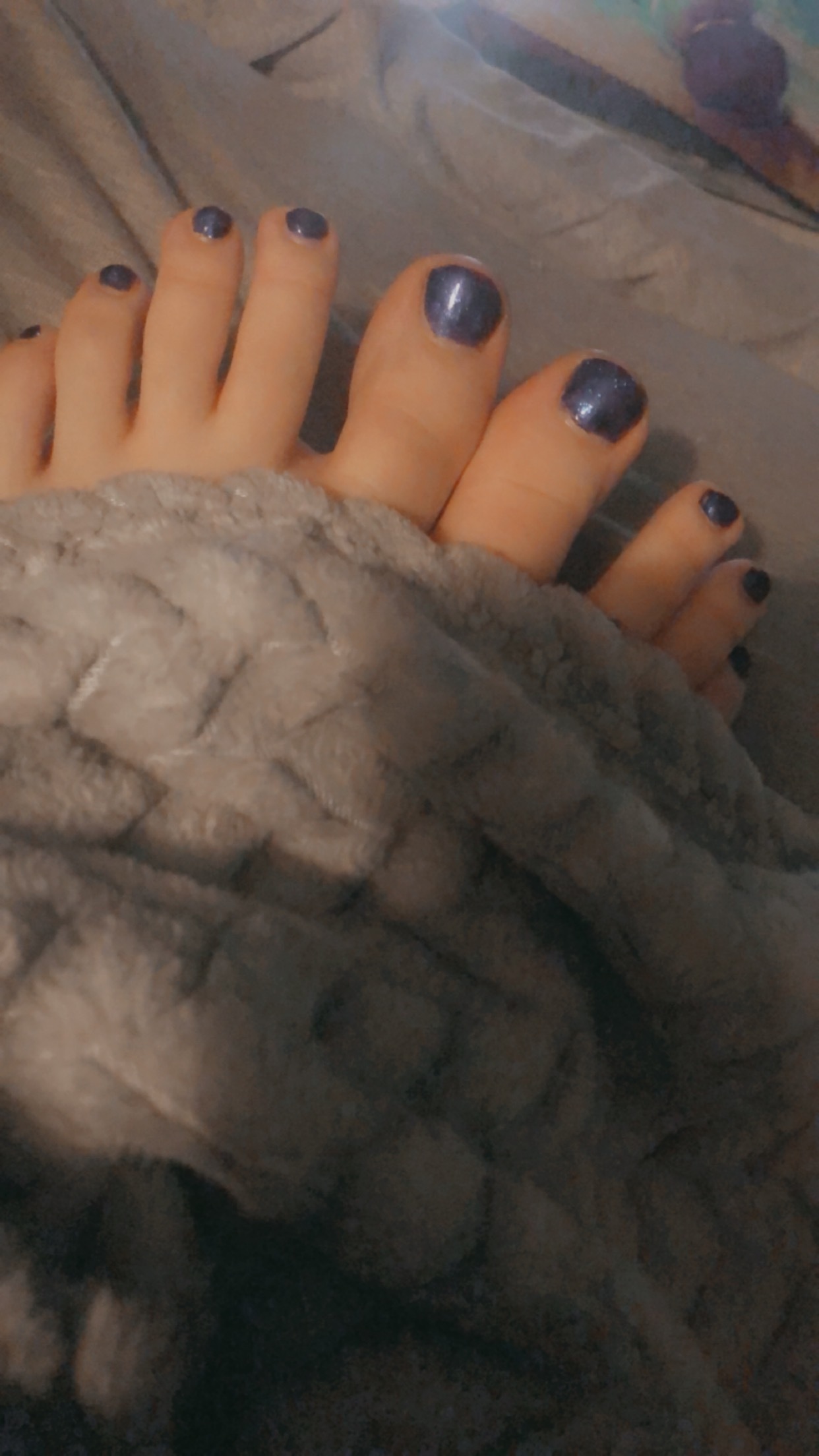 Olicat OnlyFans header