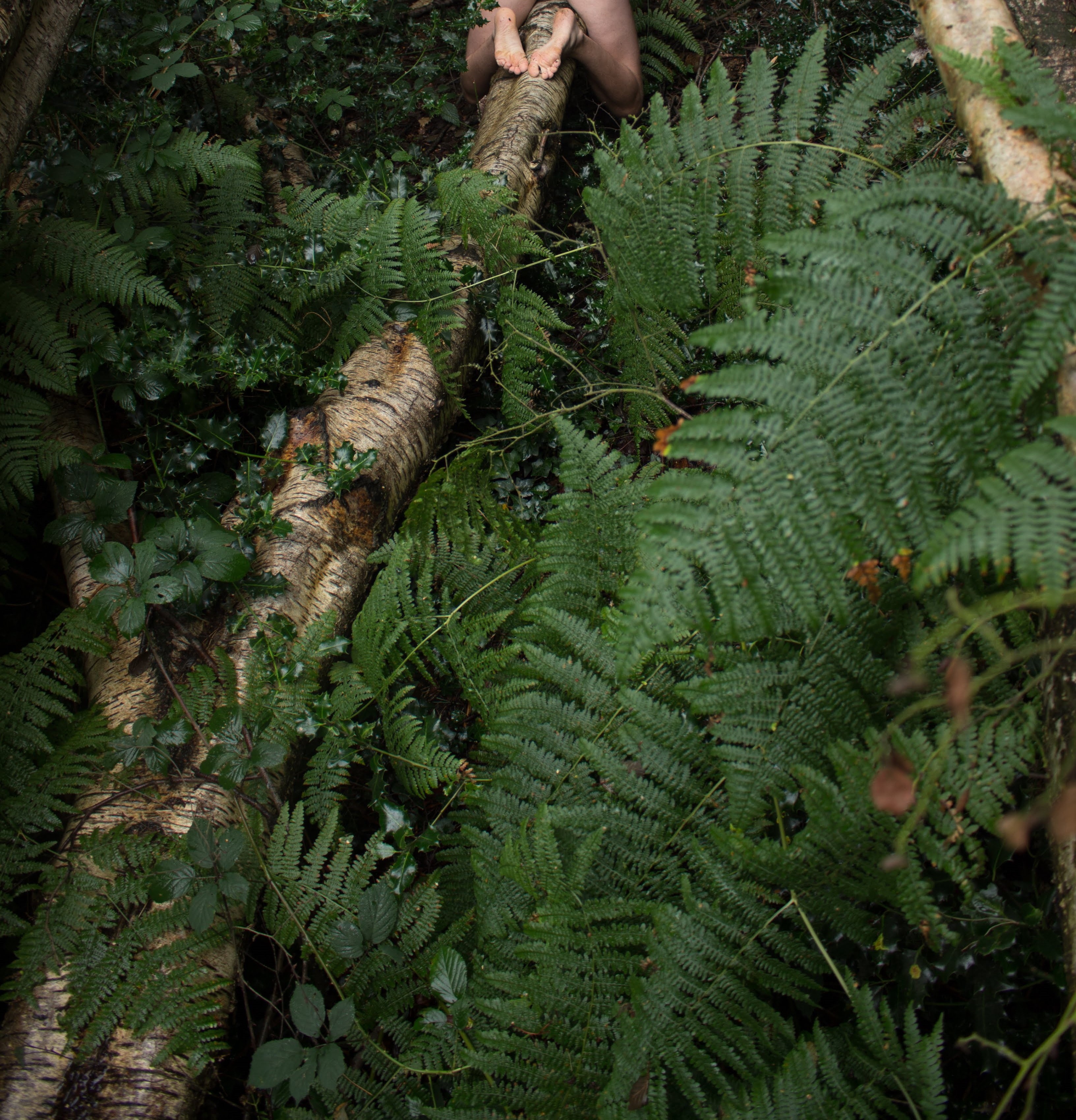 Oliraptor OnlyFans header