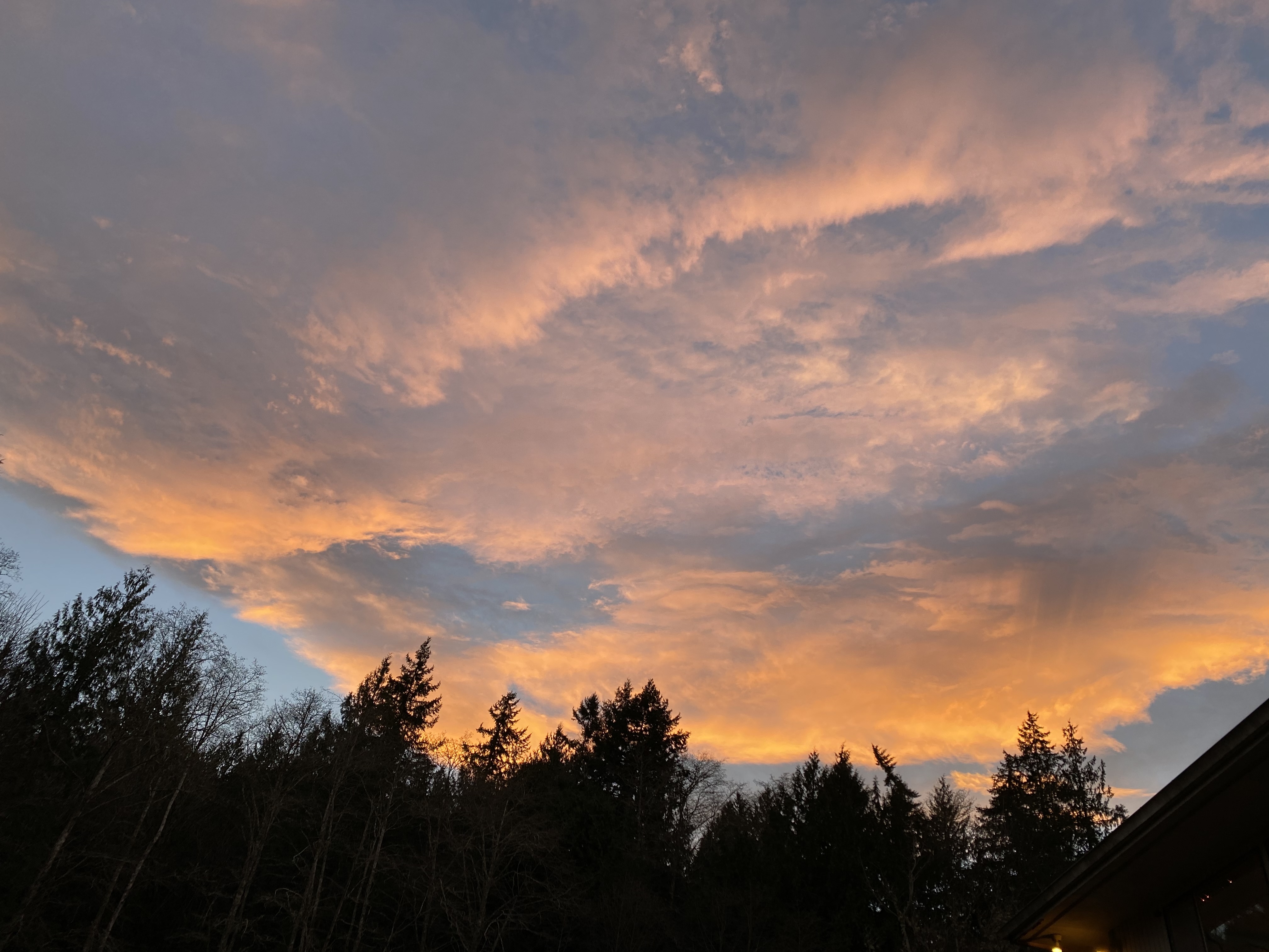 Olivia OnlyFans header