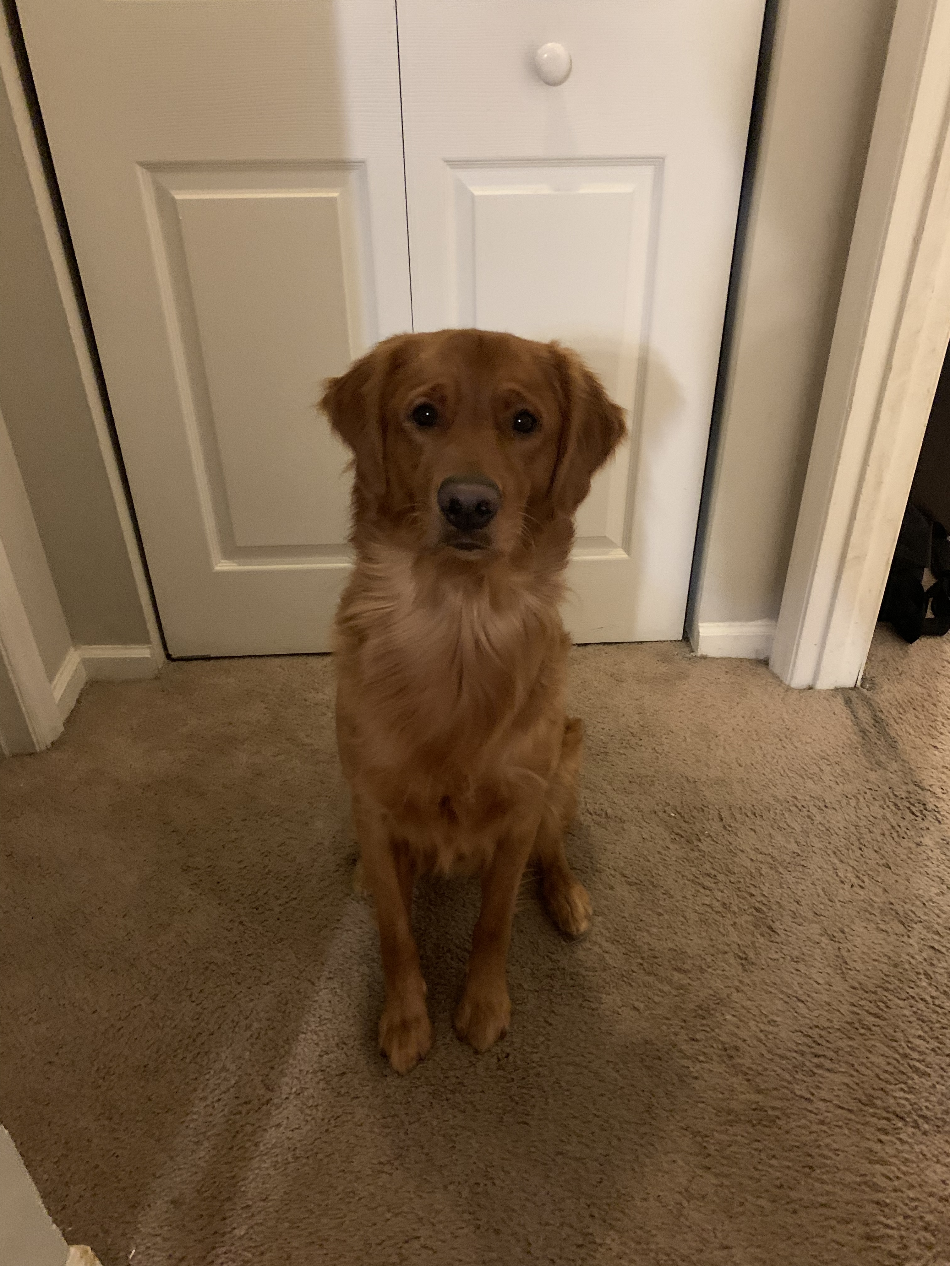 Ollievander Lee Ortega OnlyFans header