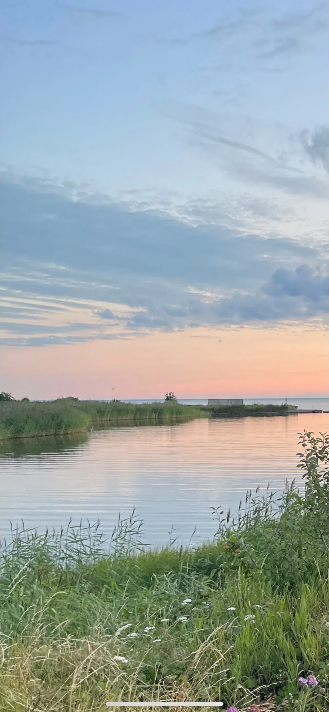 Olivia🇸🇪 OnlyFans header