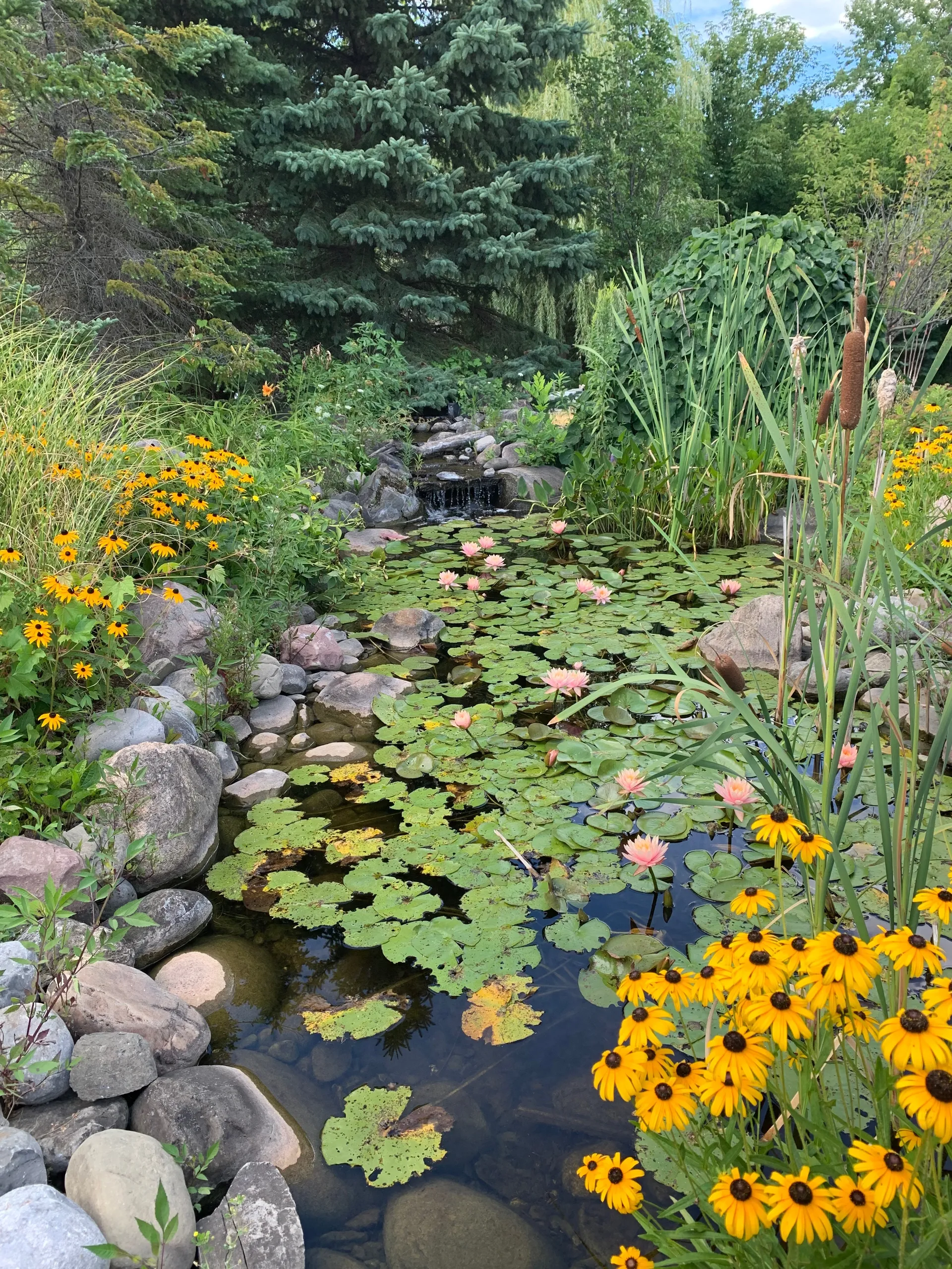 olivia OnlyFans header