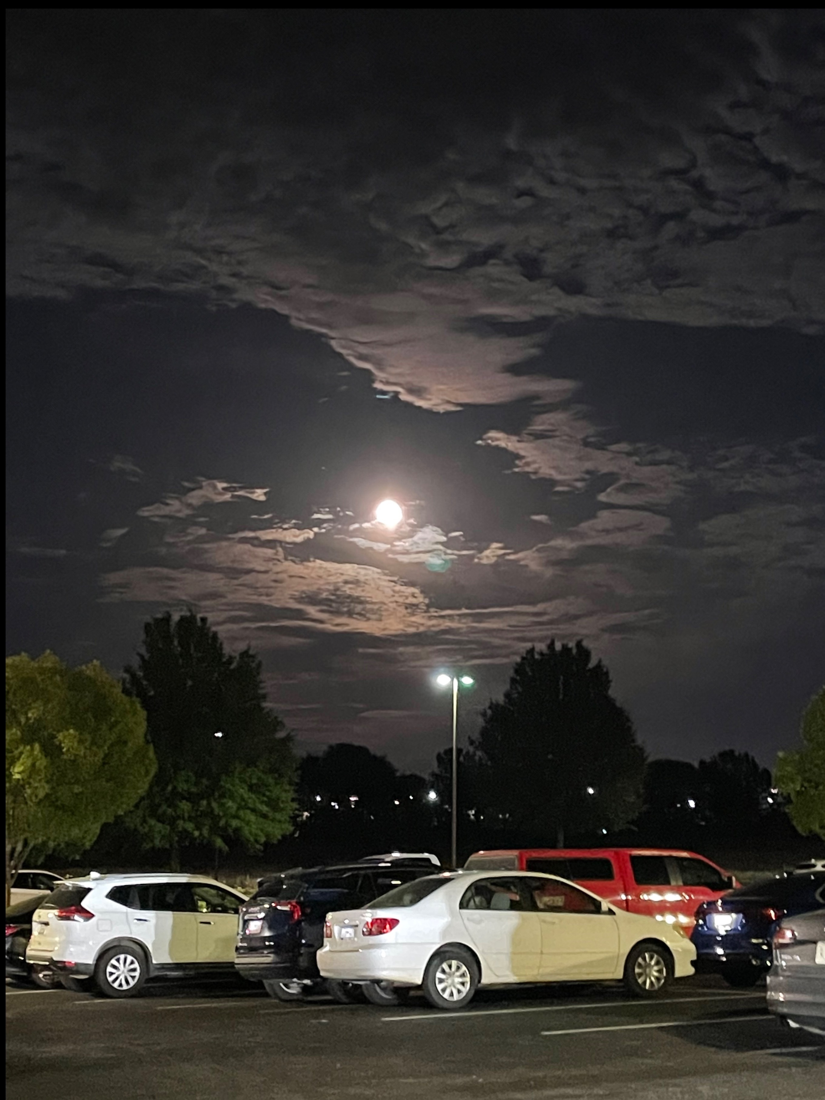 olive 🖤 OnlyFans header