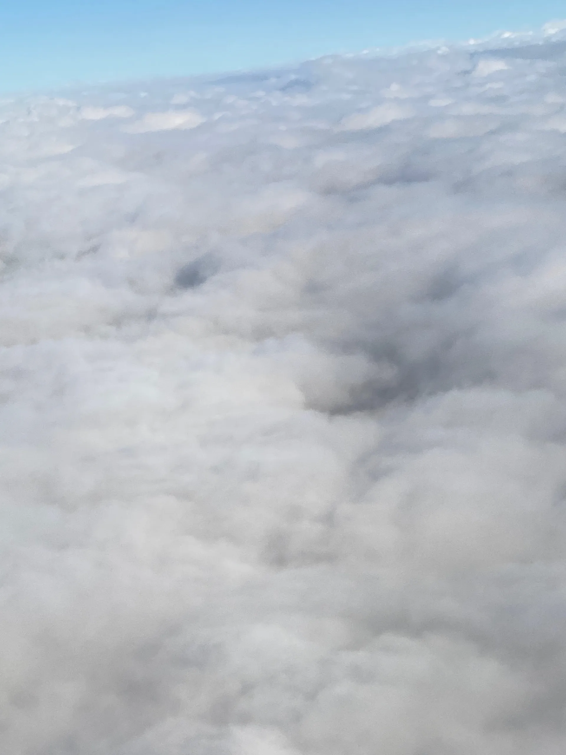 Olive OnlyFans header