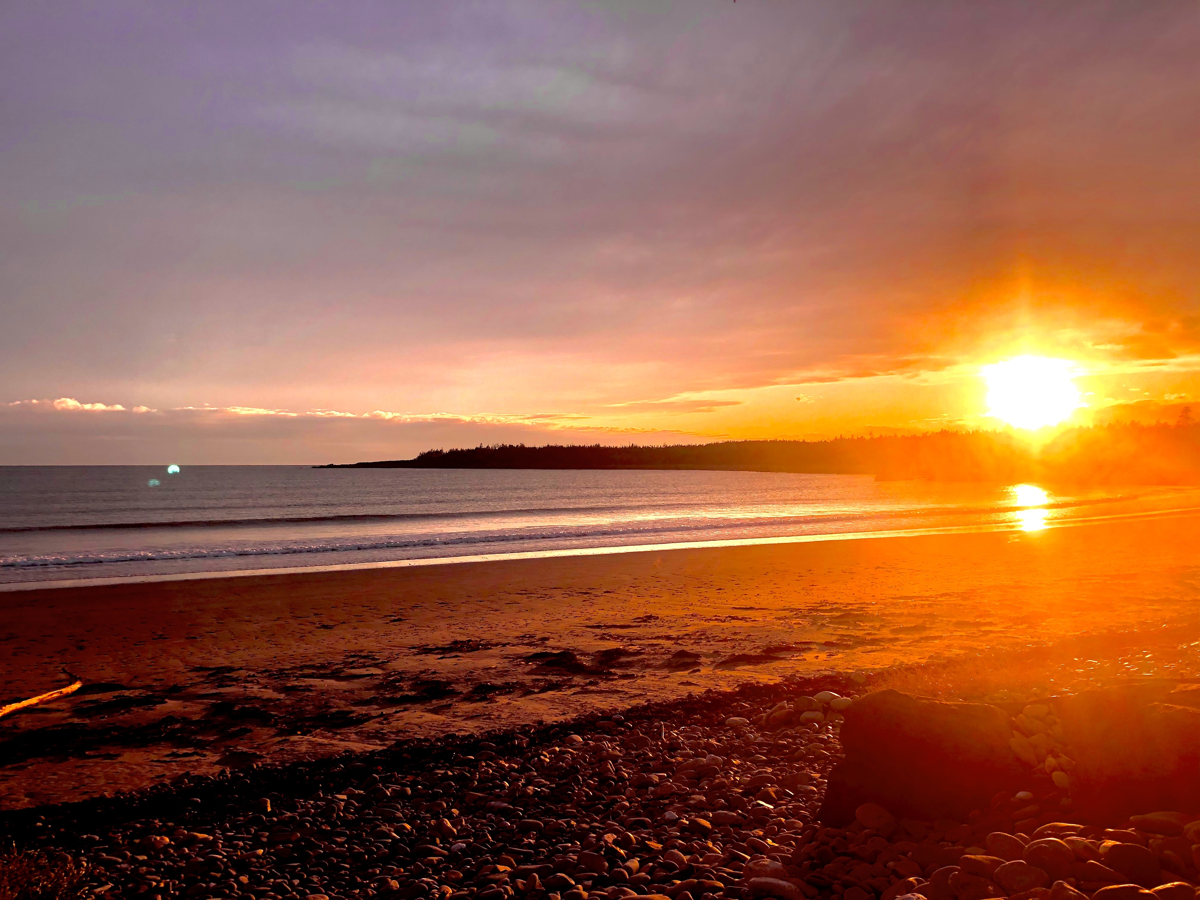 Olive 🏝 OnlyFans header