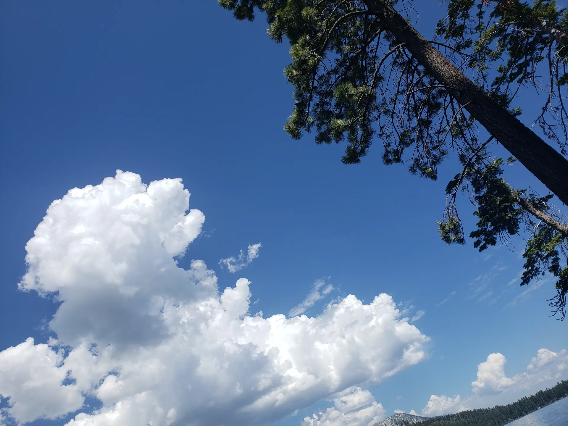 LouLou OnlyFans header