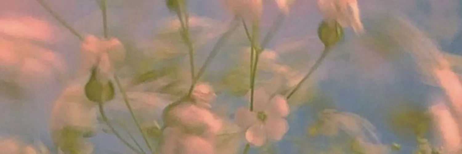 olive OnlyFans header