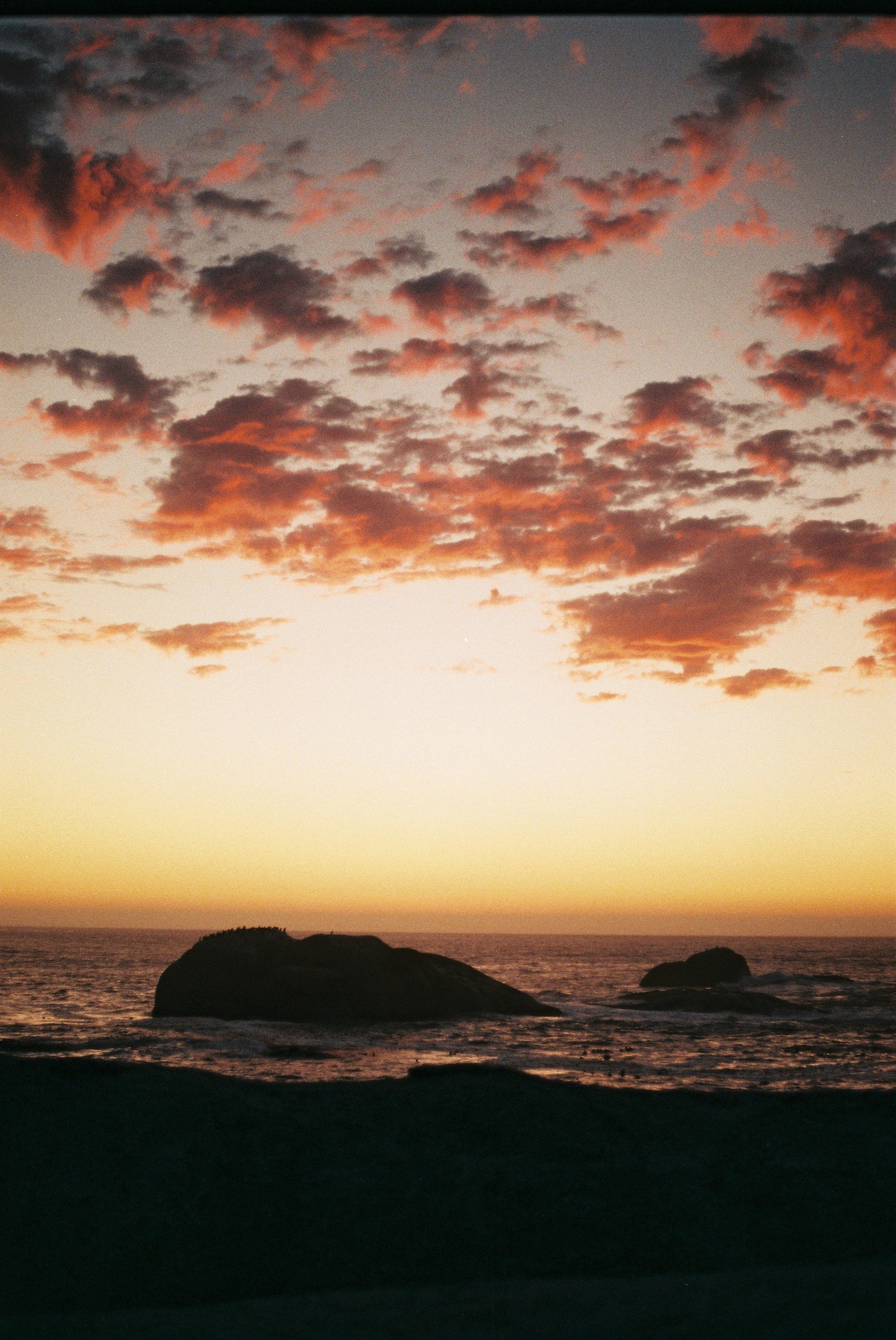 Olivia OnlyFans header