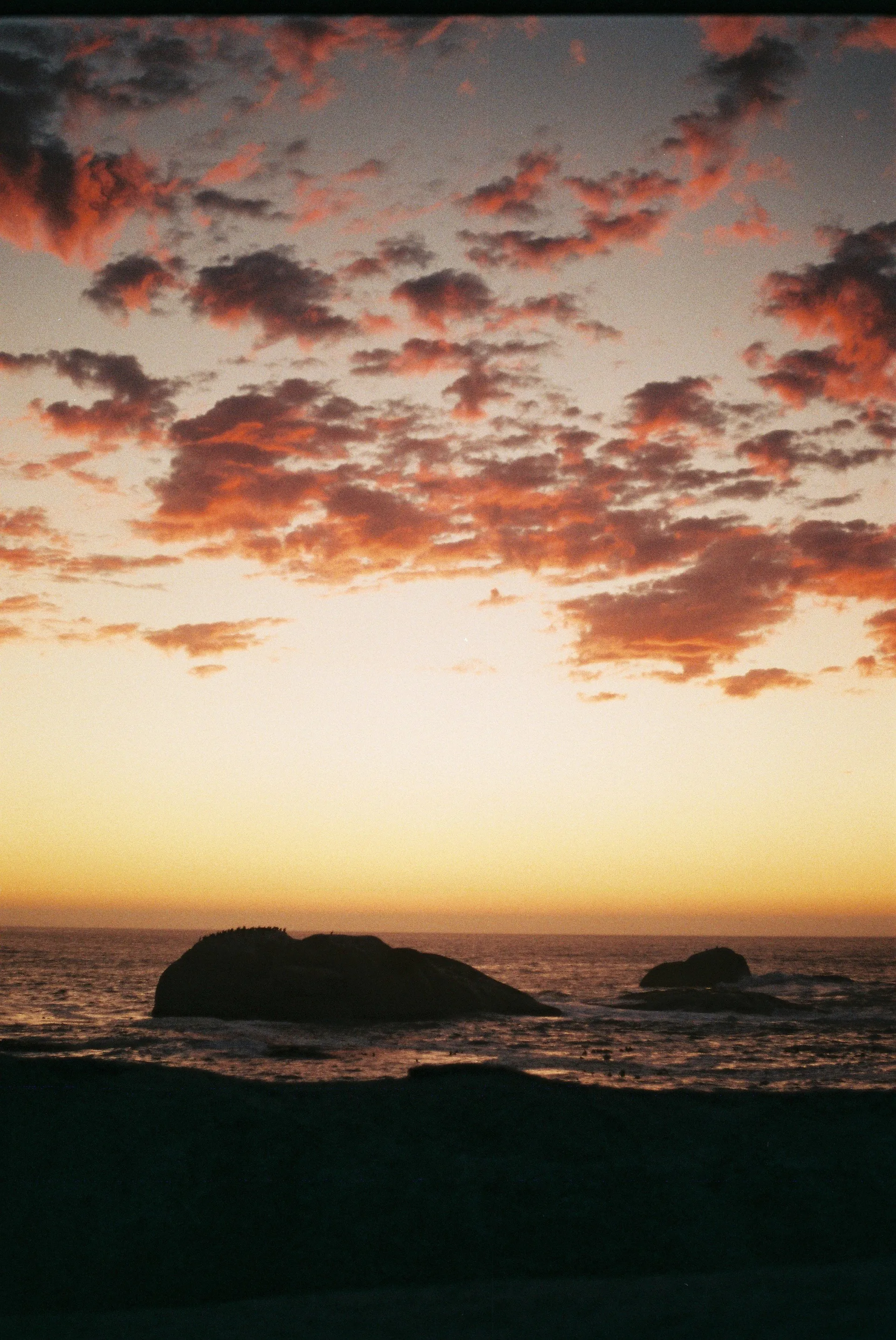 Olivia OnlyFans header