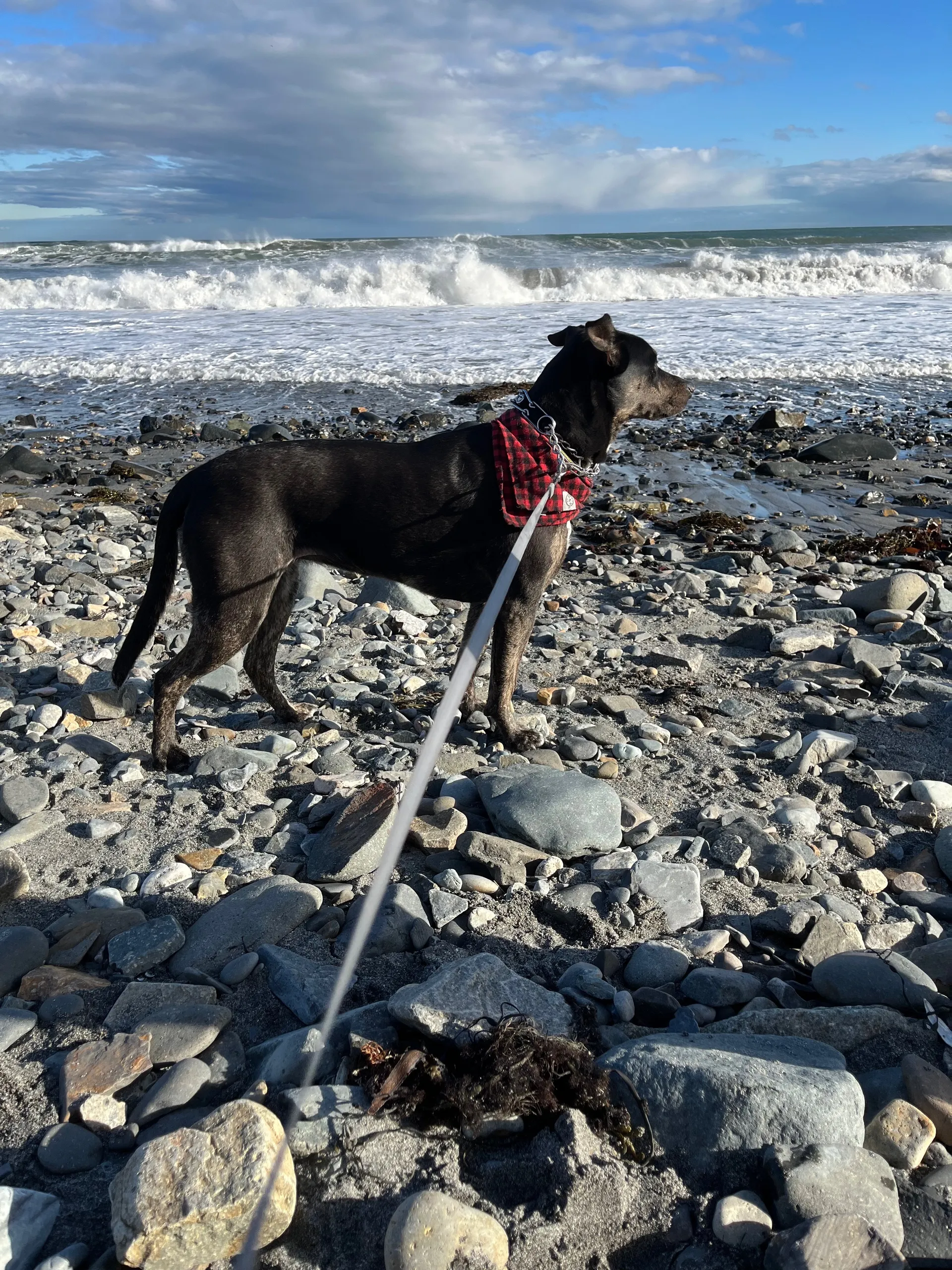 Oliver OnlyFans header