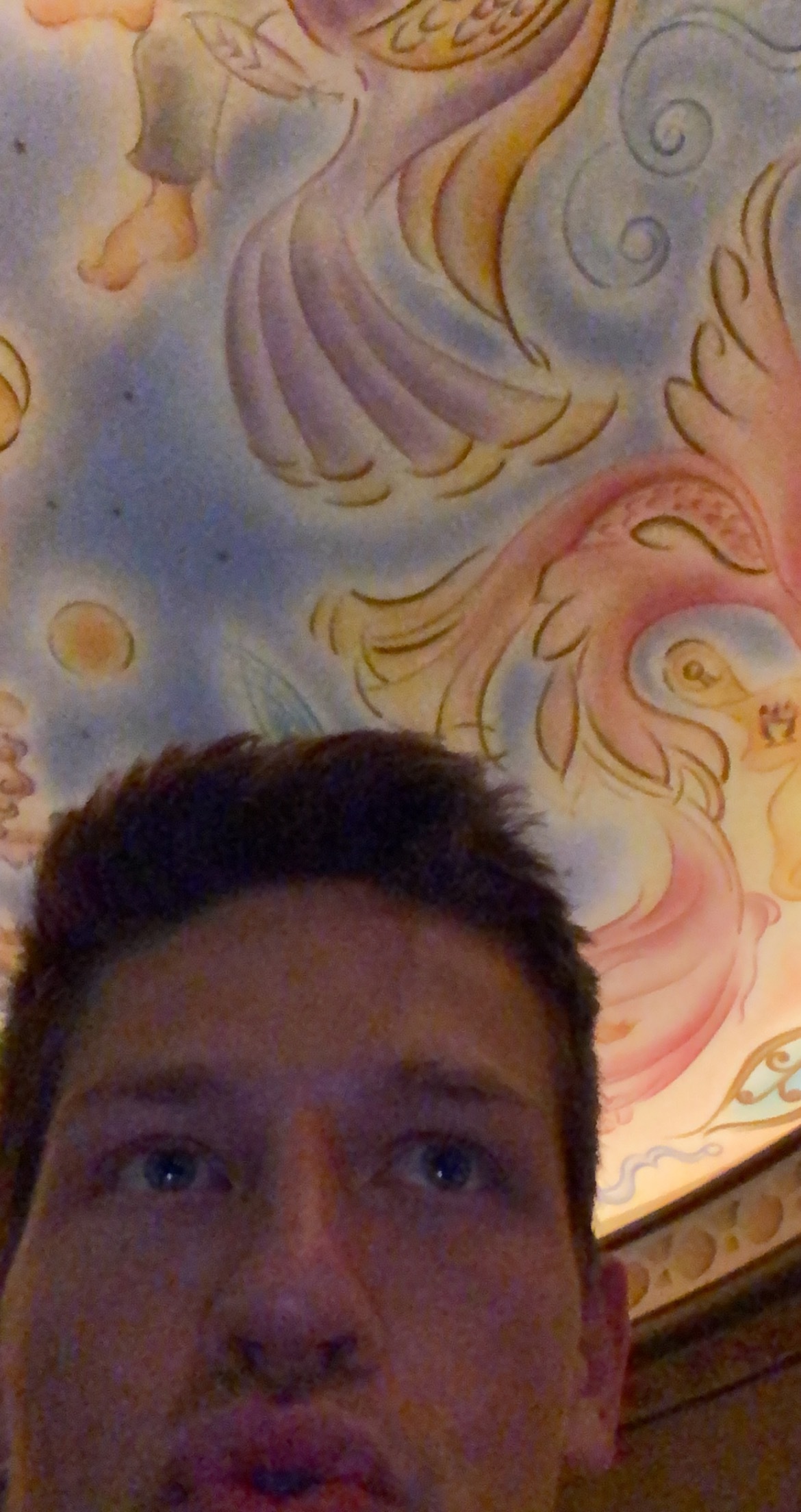 Oliver dash OnlyFans header